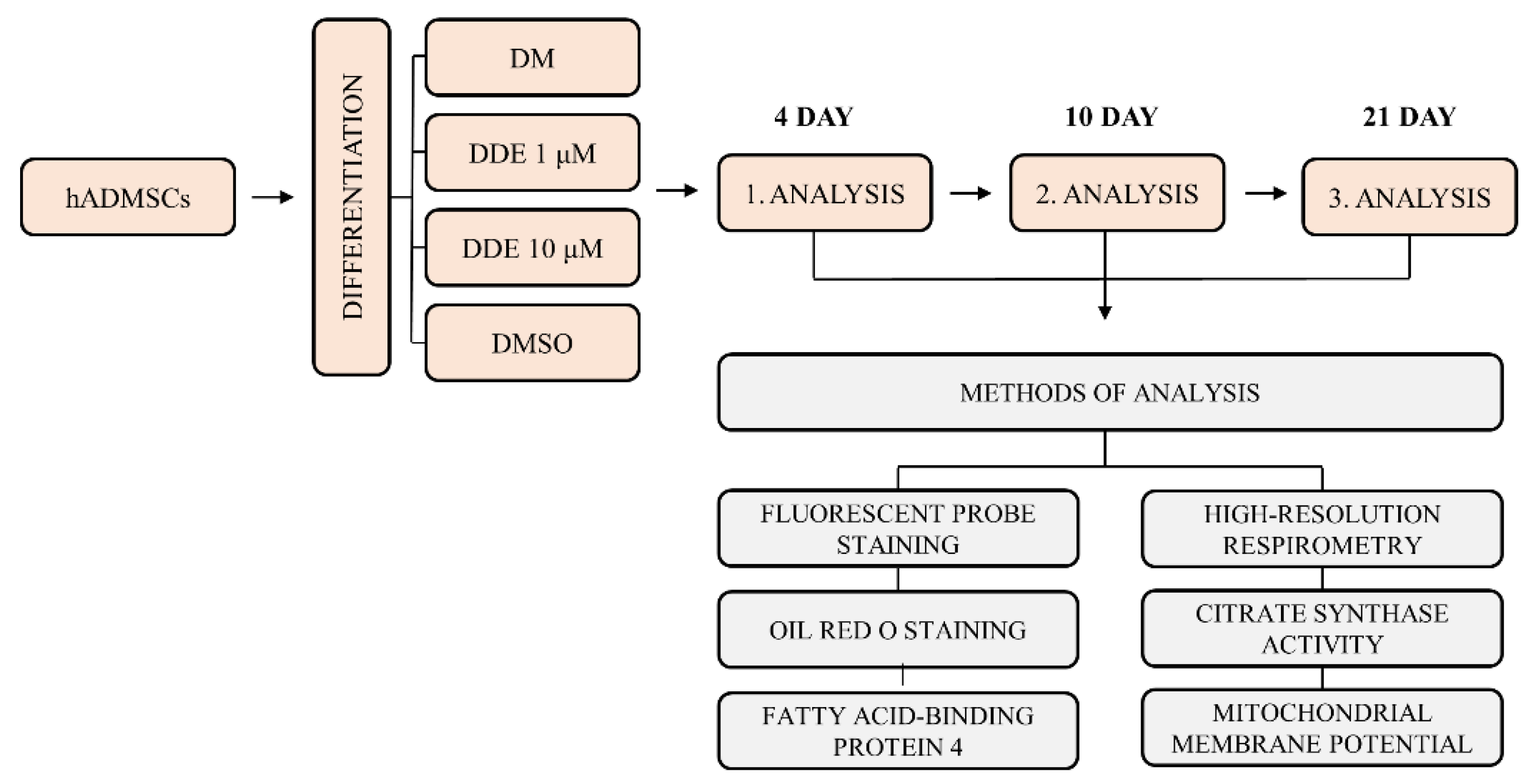 Biomolecules 11 01068 g001 550