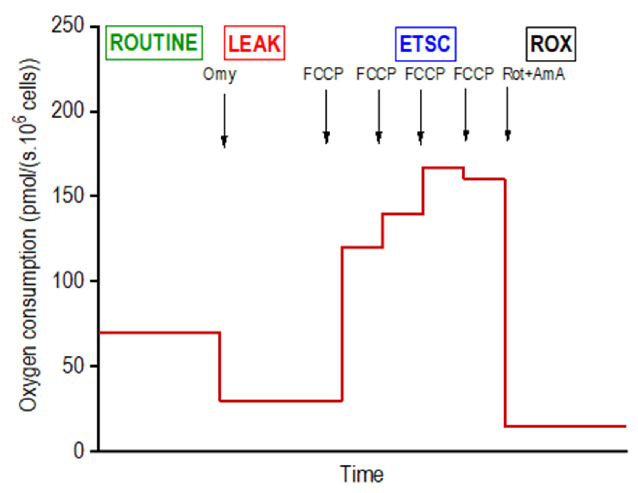 Biomolecules 11 01068 g002 550