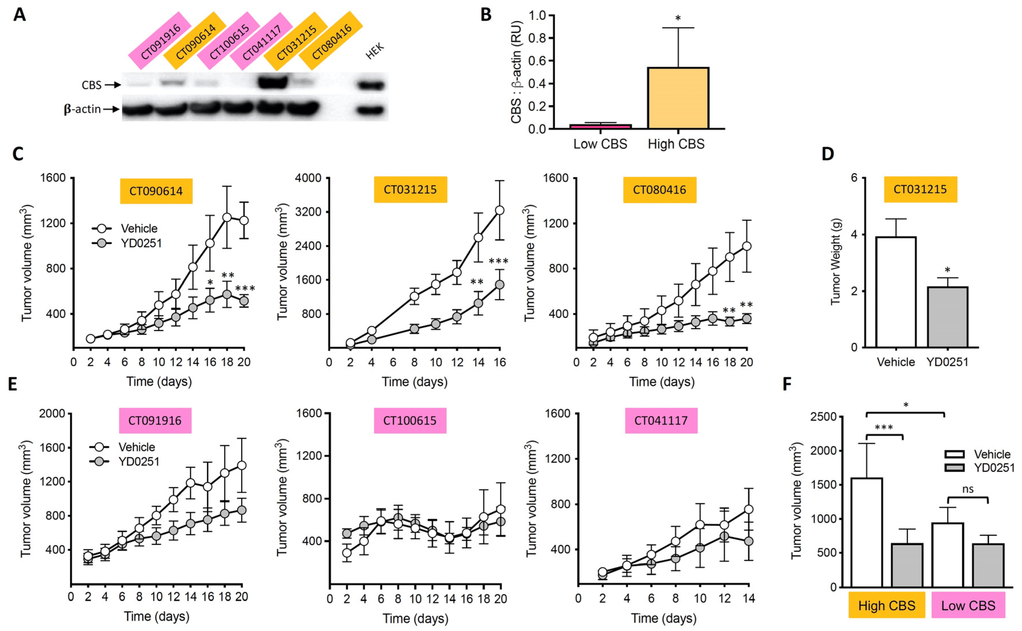 Biomolecules 11 01073 g007 Biomolecules 11 01073 g007