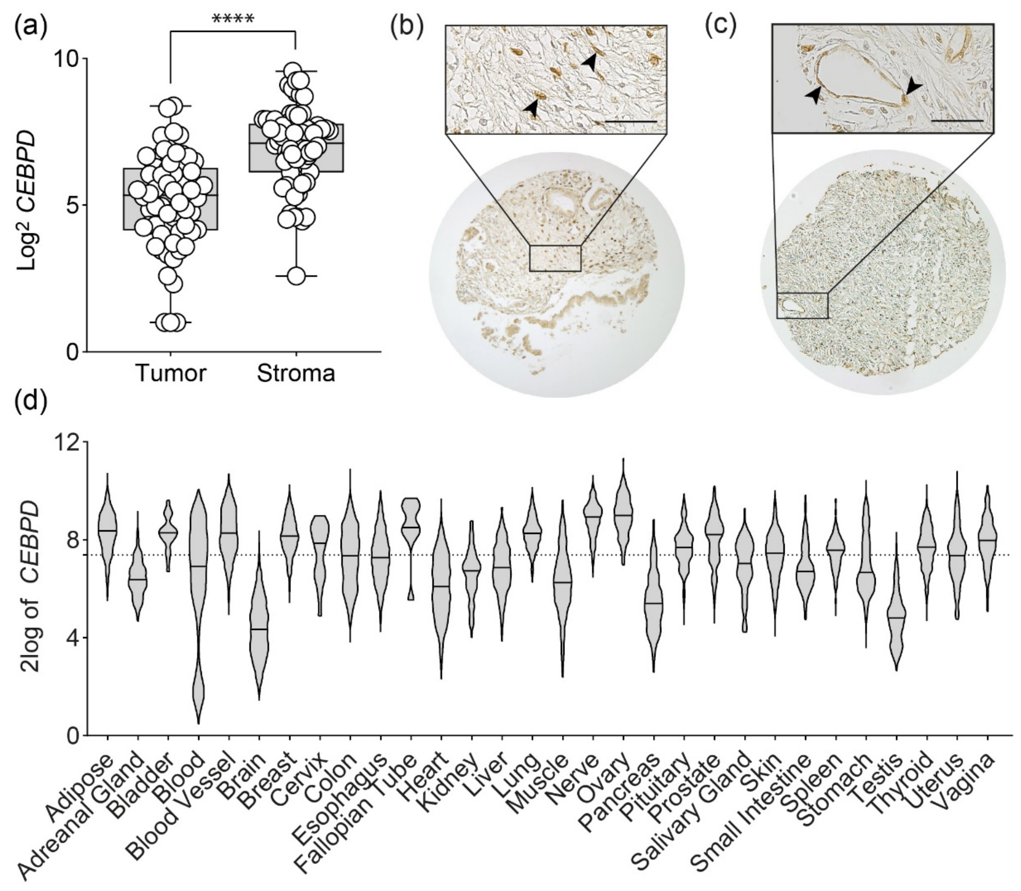 Biomolecules 11 01079 g001 550