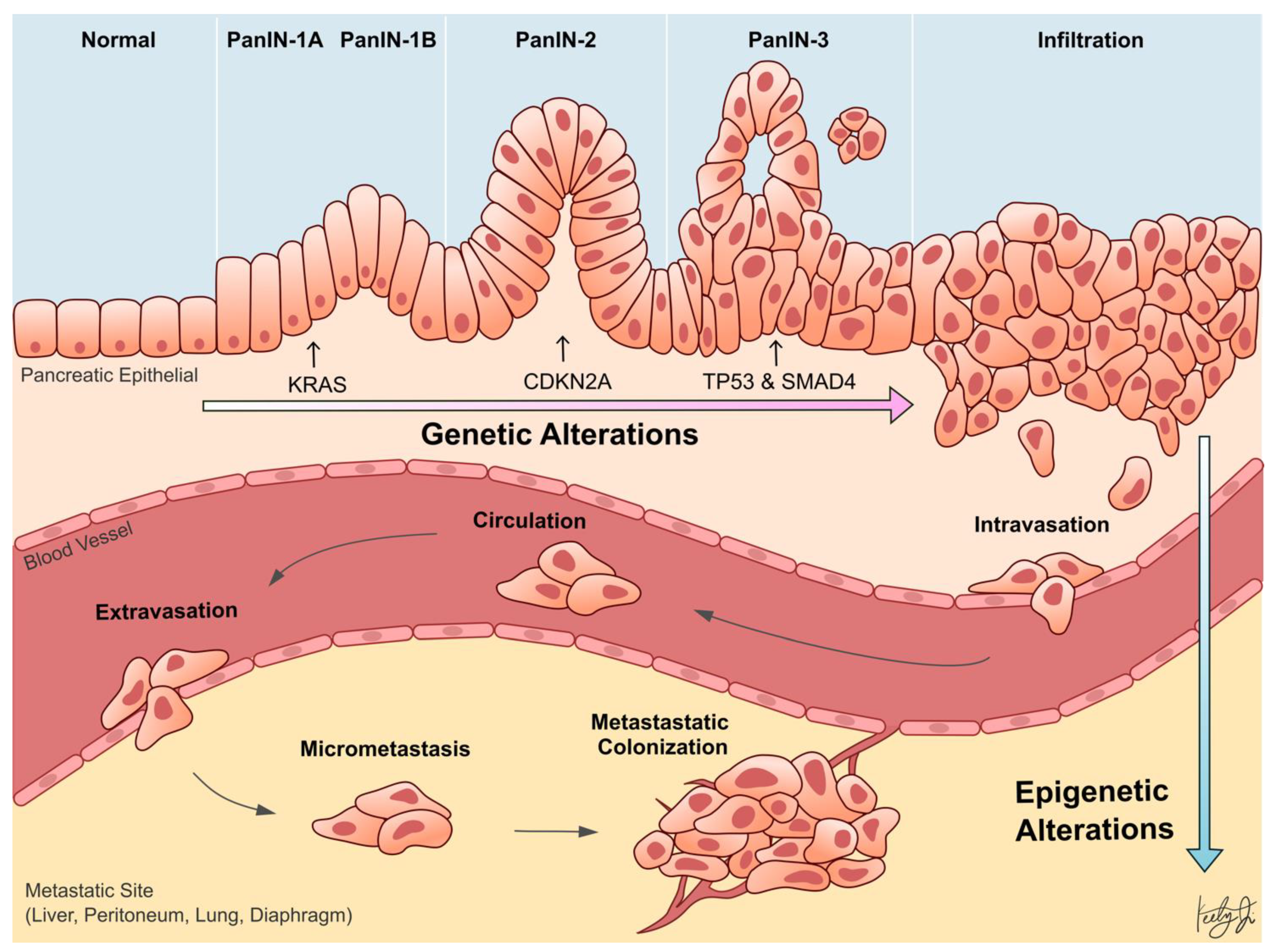 Biomolecules 11 01082 g001