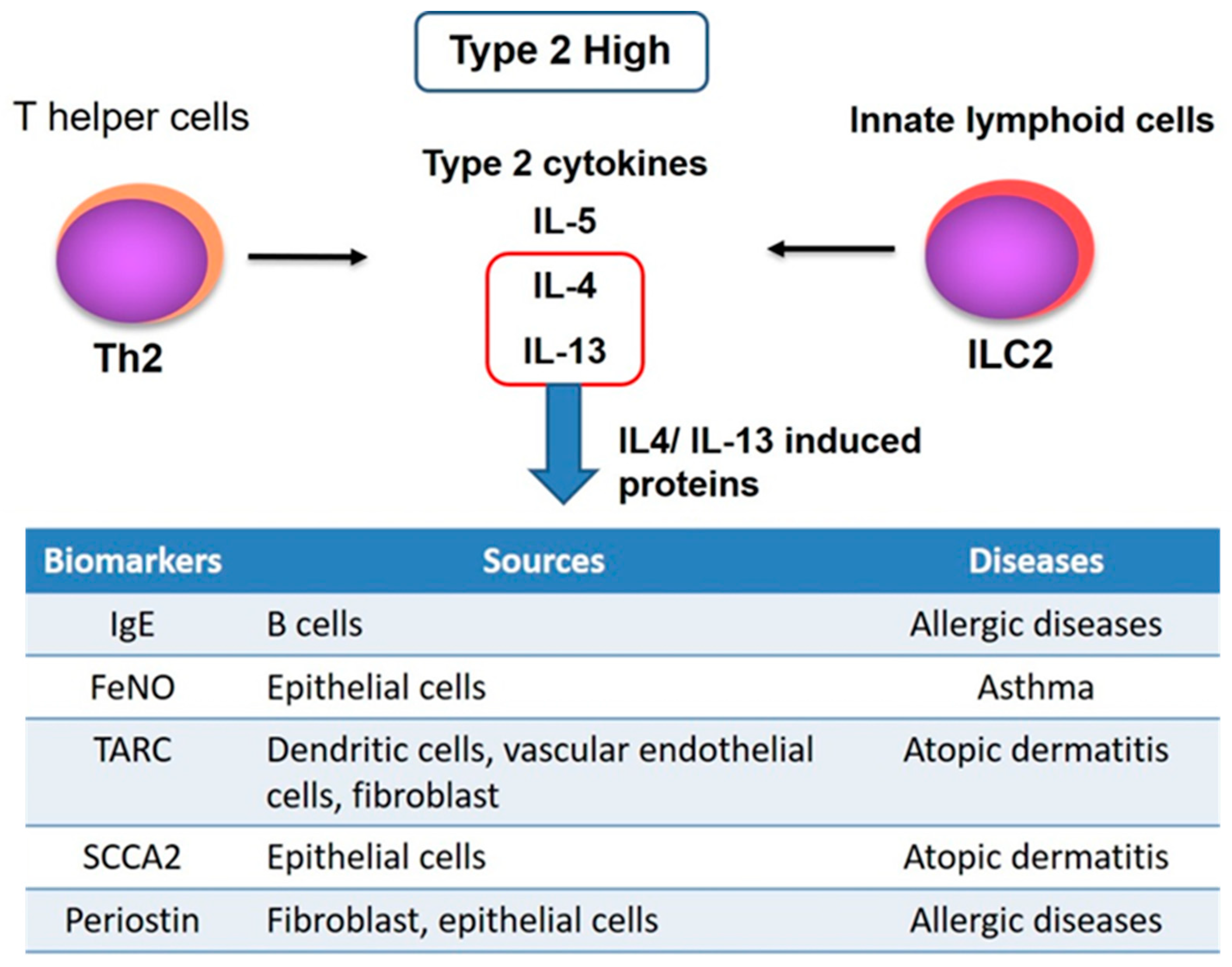 Biomolecules 11 01084 g002 Biomolecules 11 01084 g002
