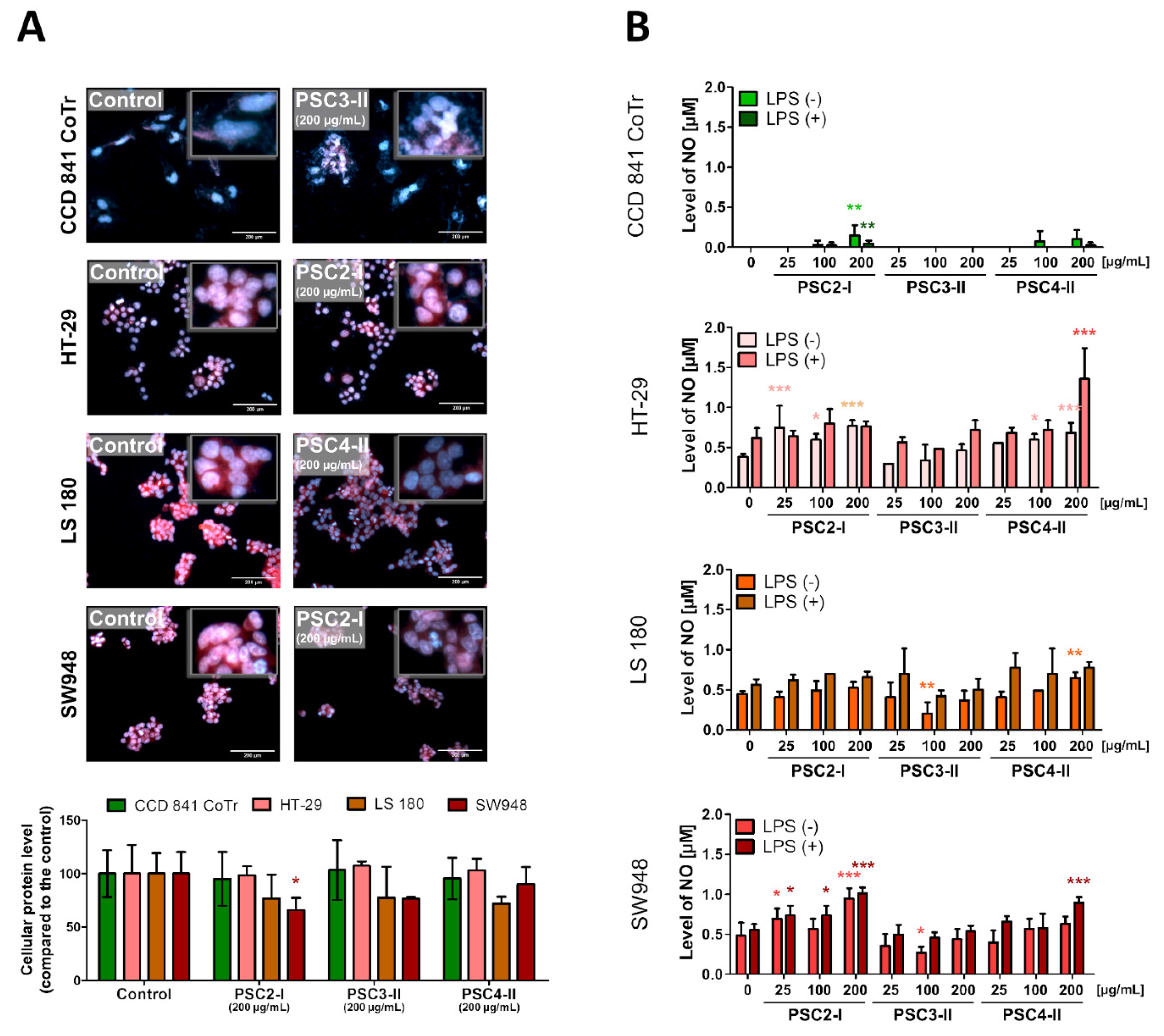 Biomolecules 11 01089 g004