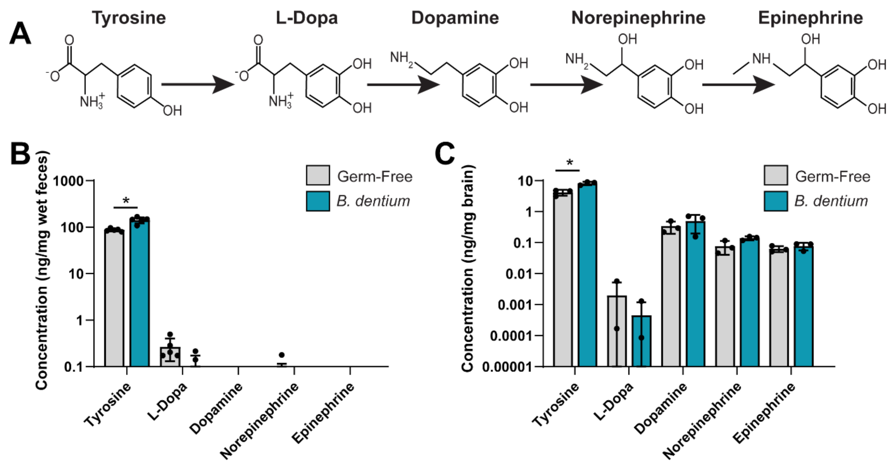 Biomolecules 11 01091 g004