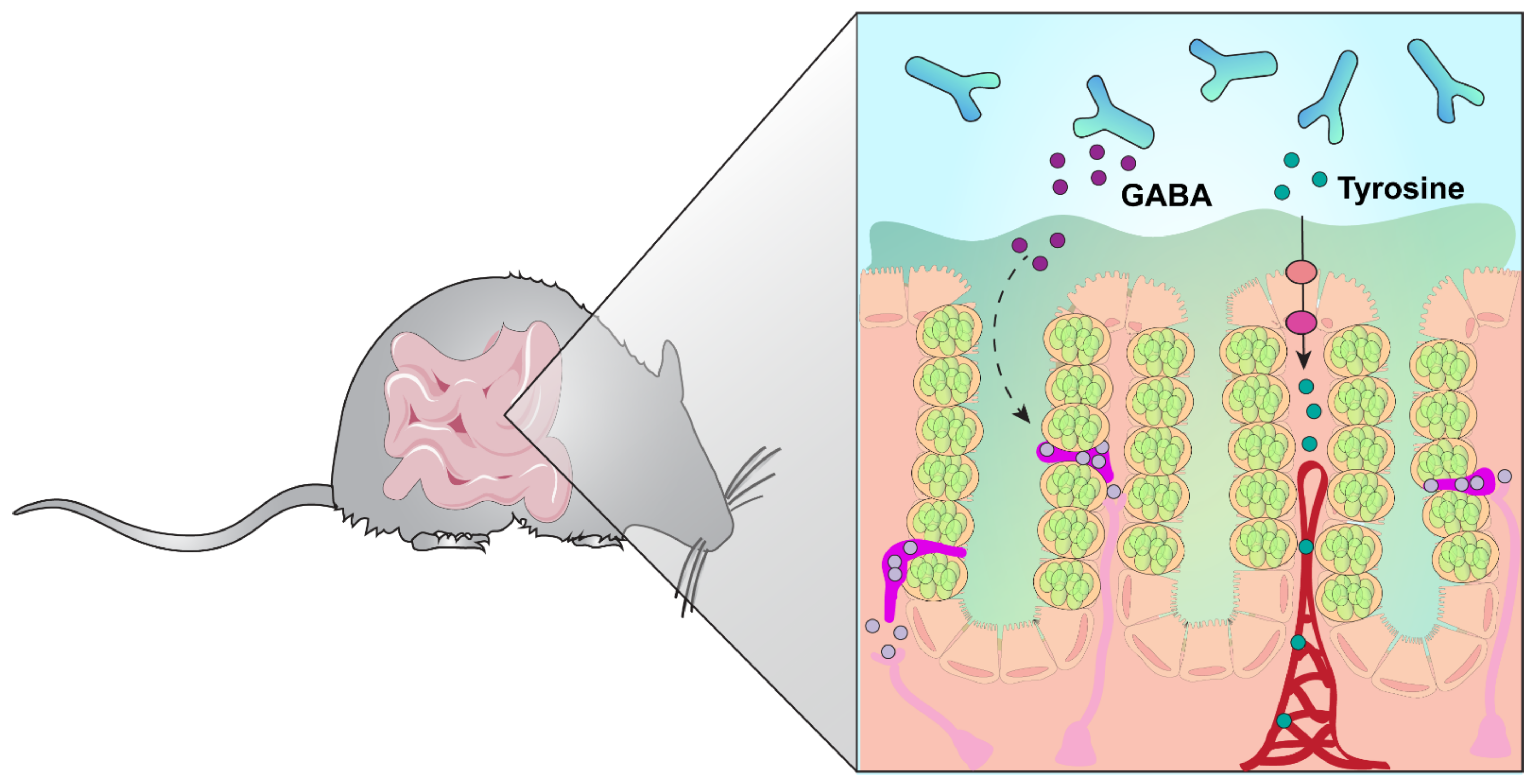 Biomolecules 11 01091 g005