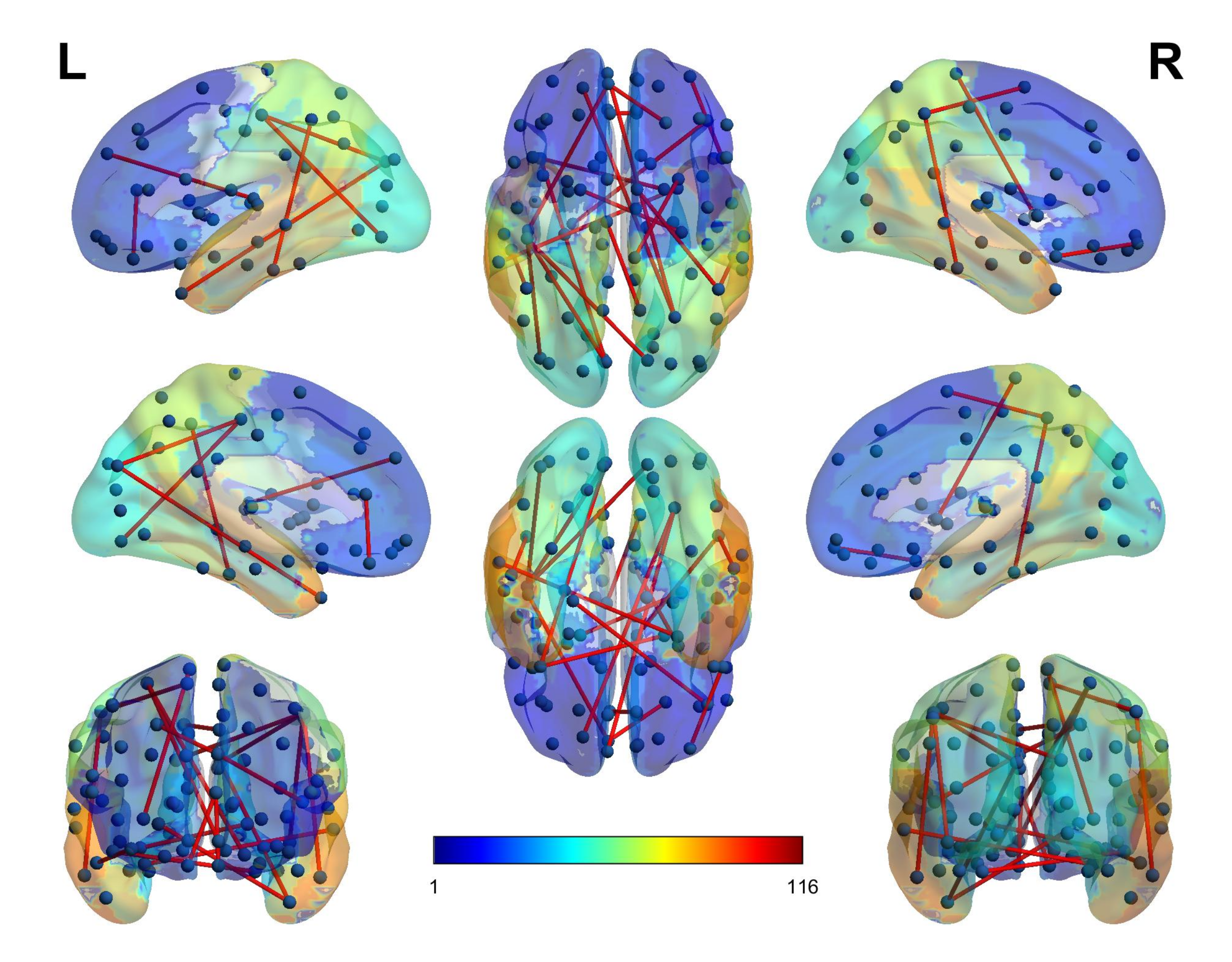 Biomolecules 11 01093 g004