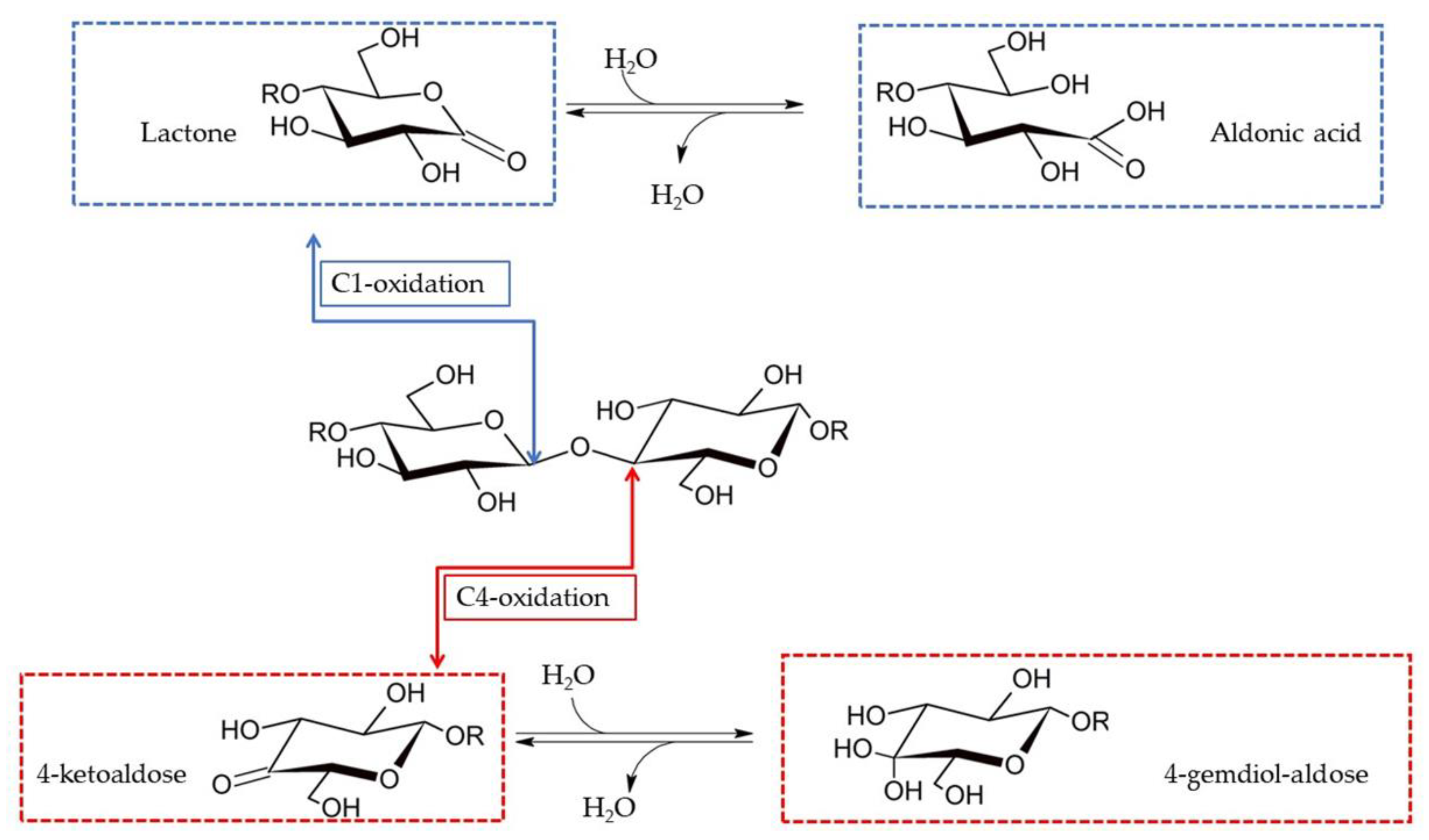 Biomolecules 11 01098 g003