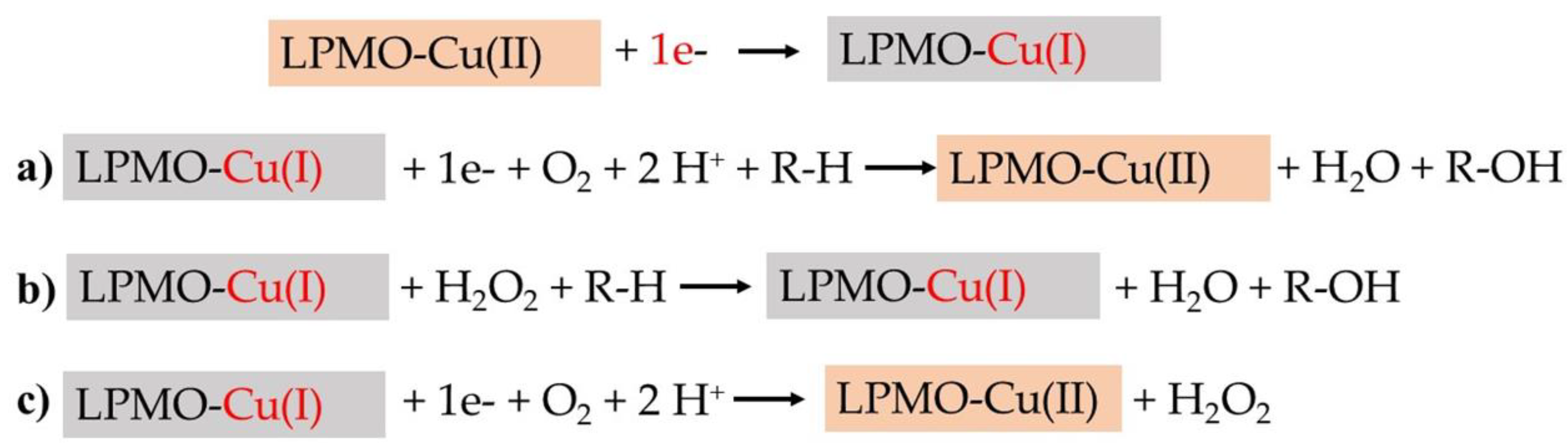 Biomolecules 11 01098 g006
