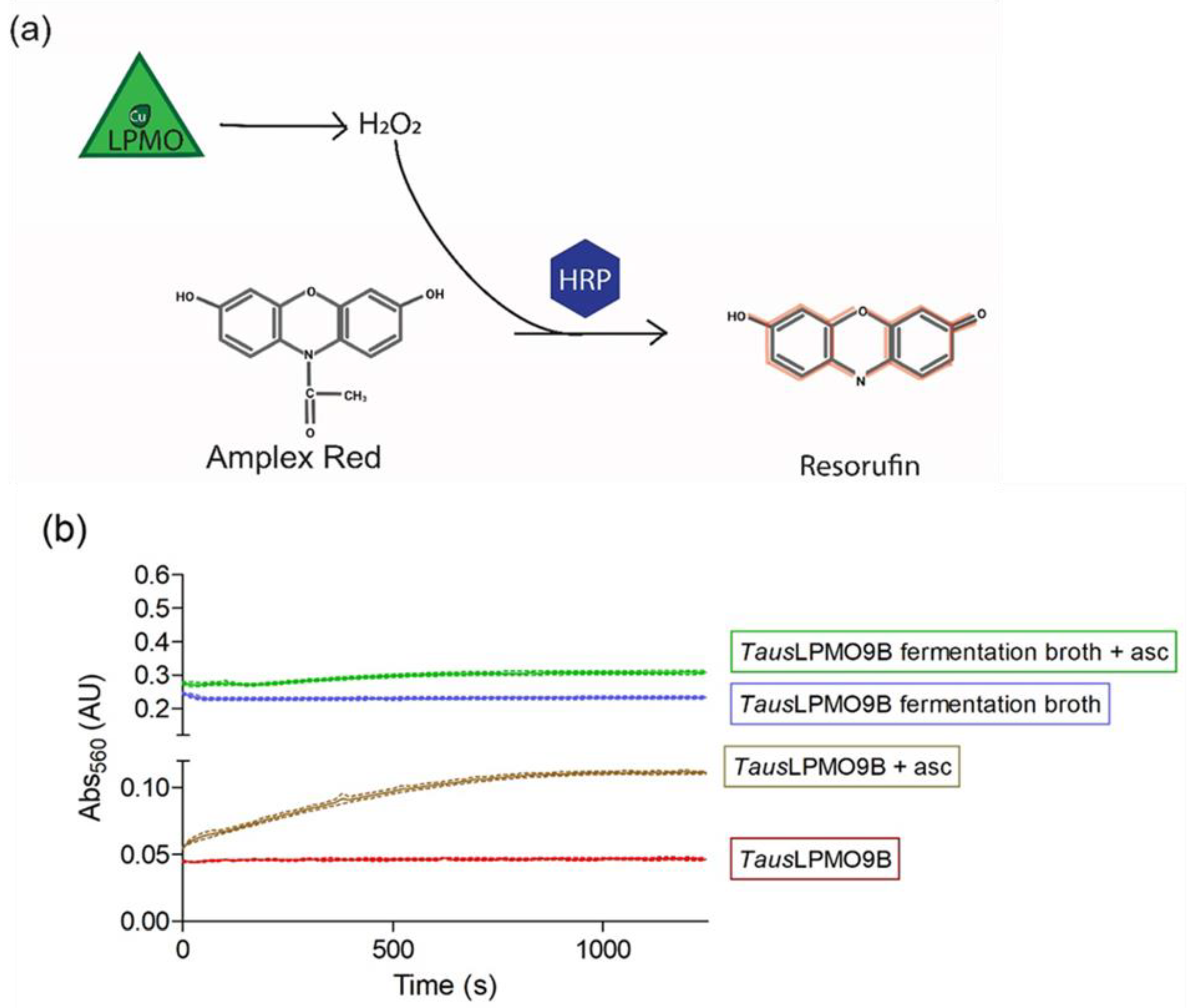 Biomolecules 11 01098 g007
