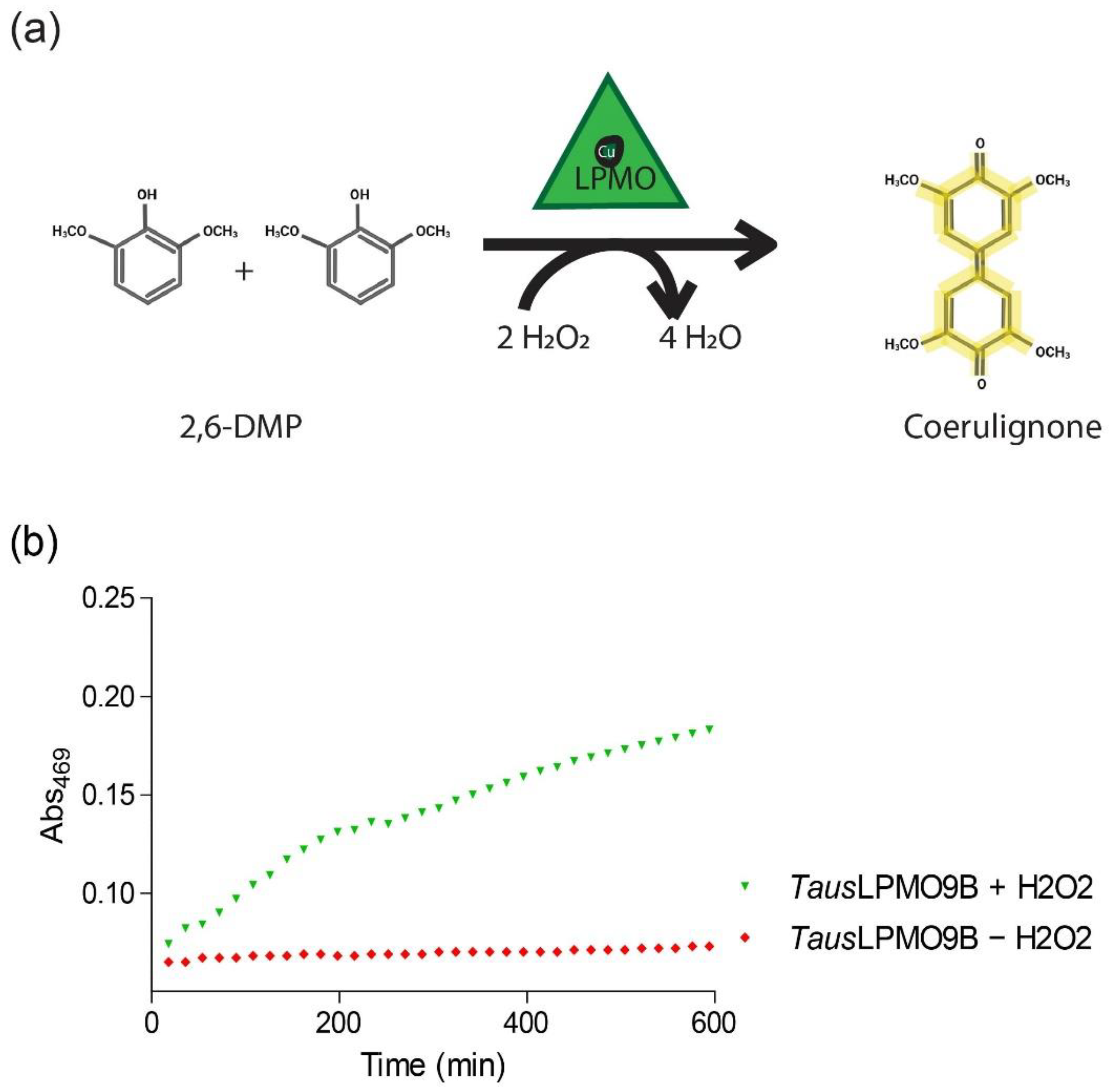 Biomolecules 11 01098 g008