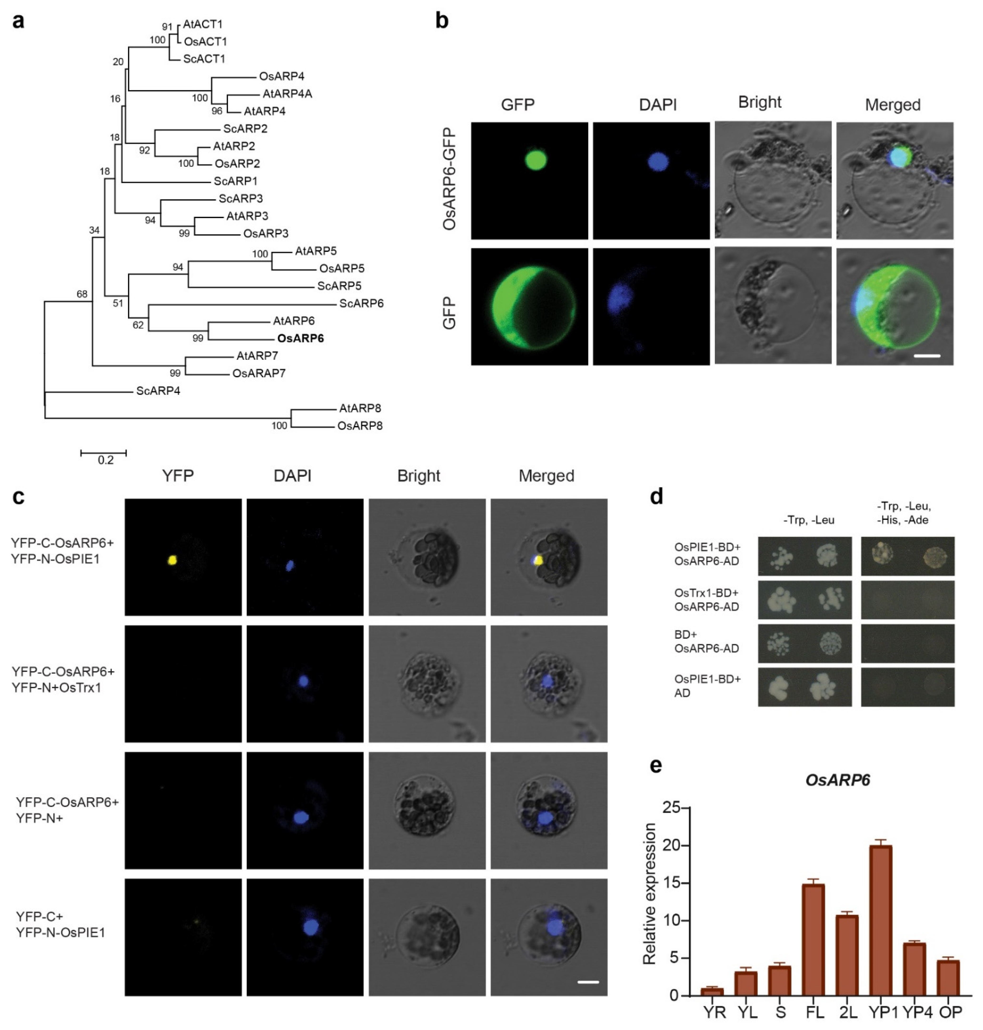 Biomolecules 11 01100 g001