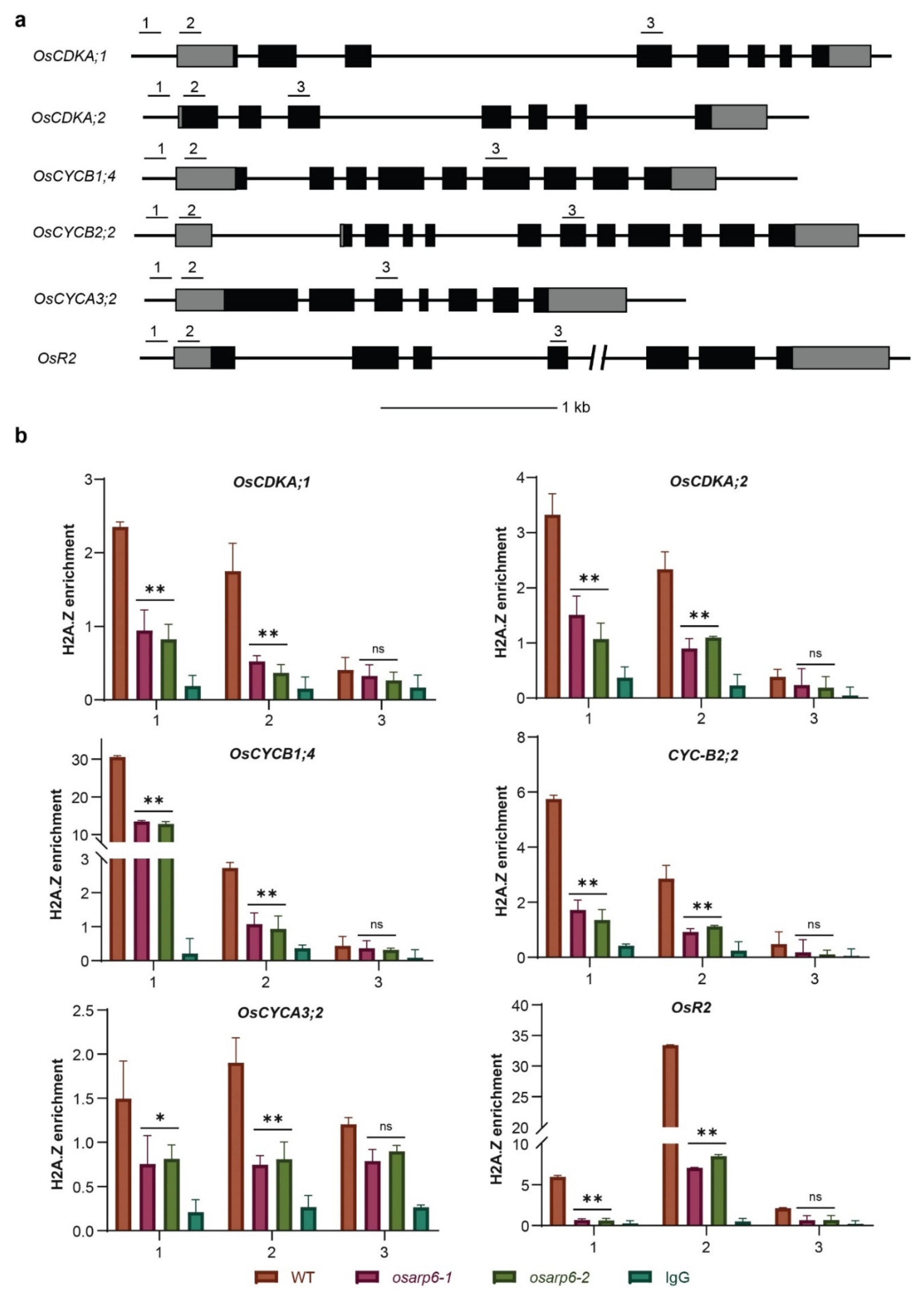 Biomolecules 11 01100 g005