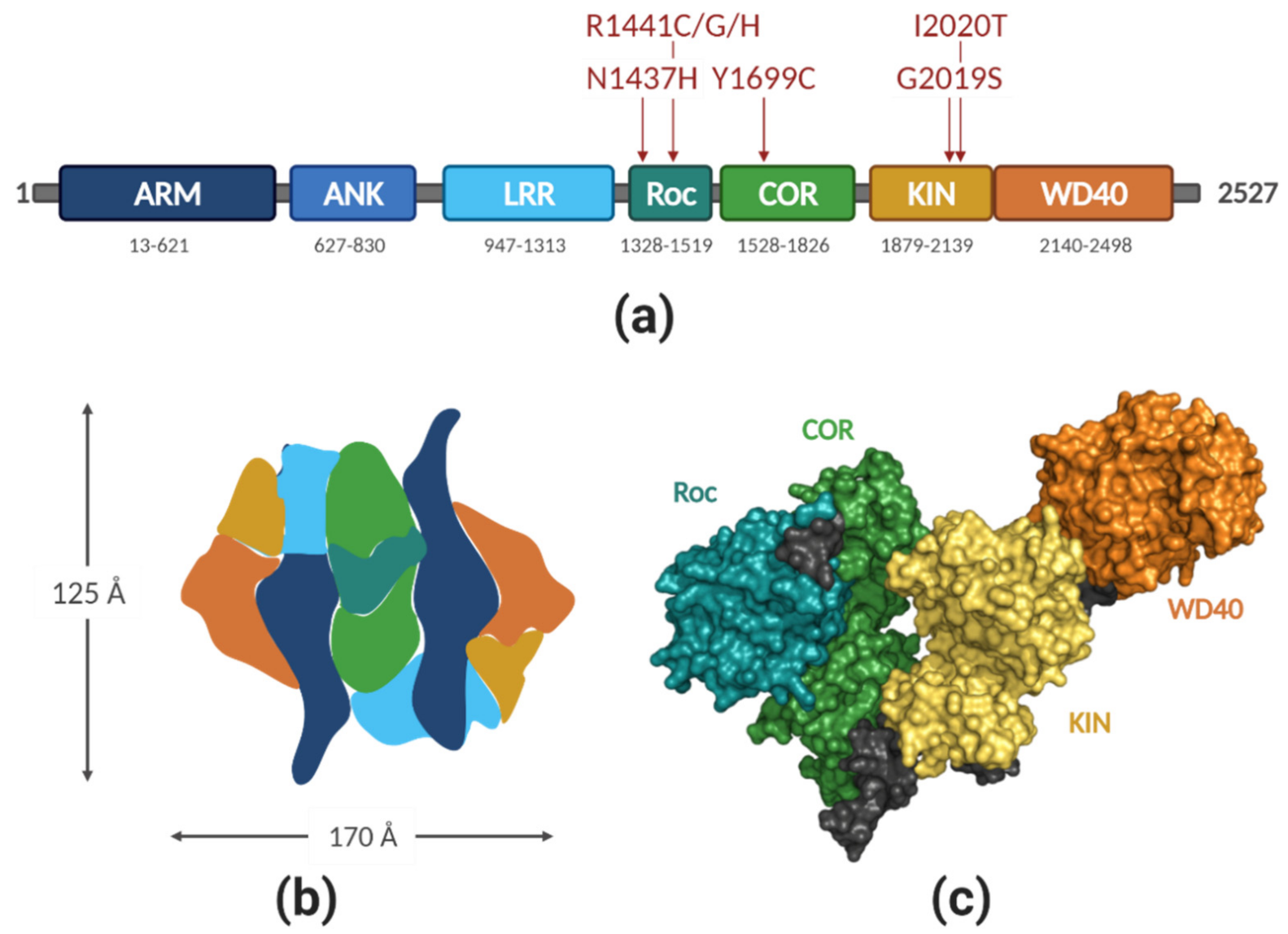 Biomolecules 11 01101 g001