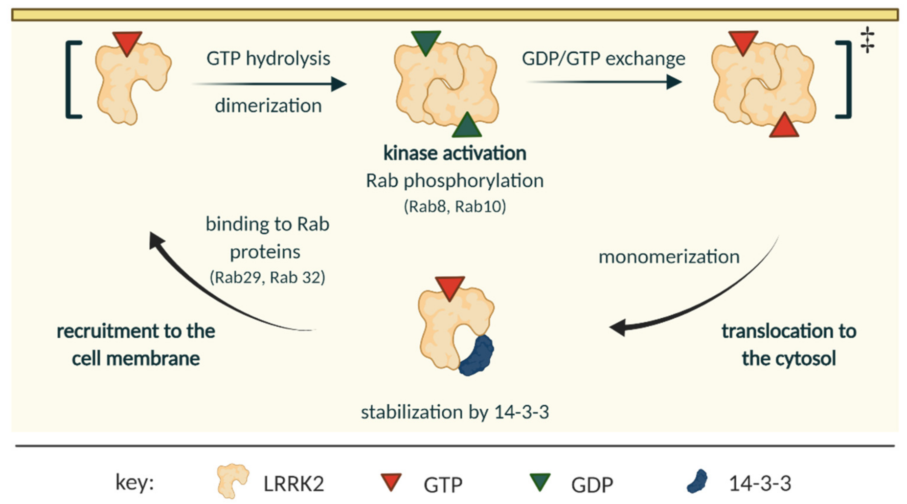 Biomolecules 11 01101 g002
