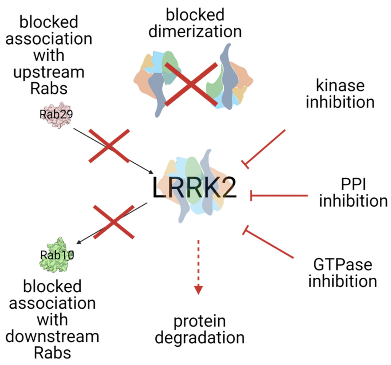 Biomolecules 11 01101 g003