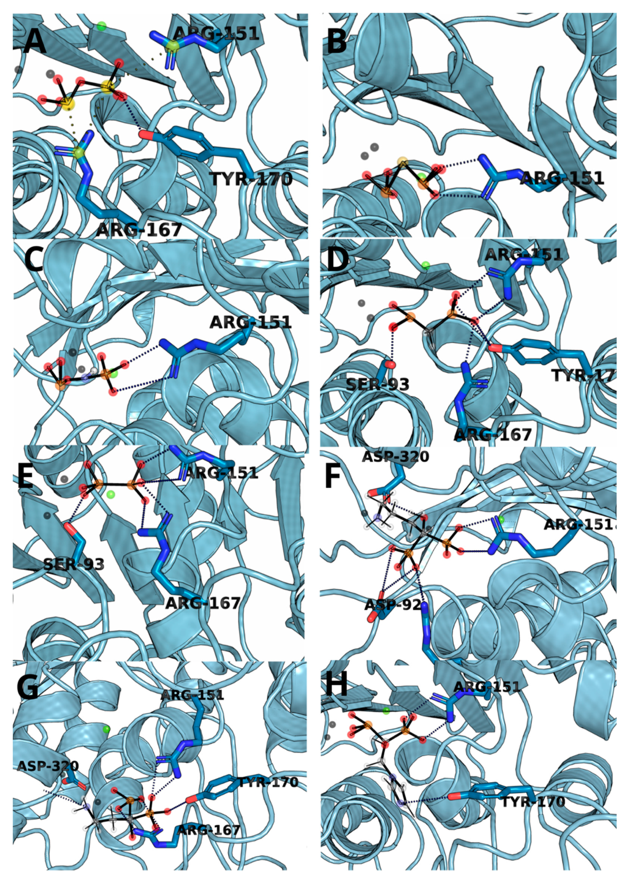 Biomolecules 11 01104 g005