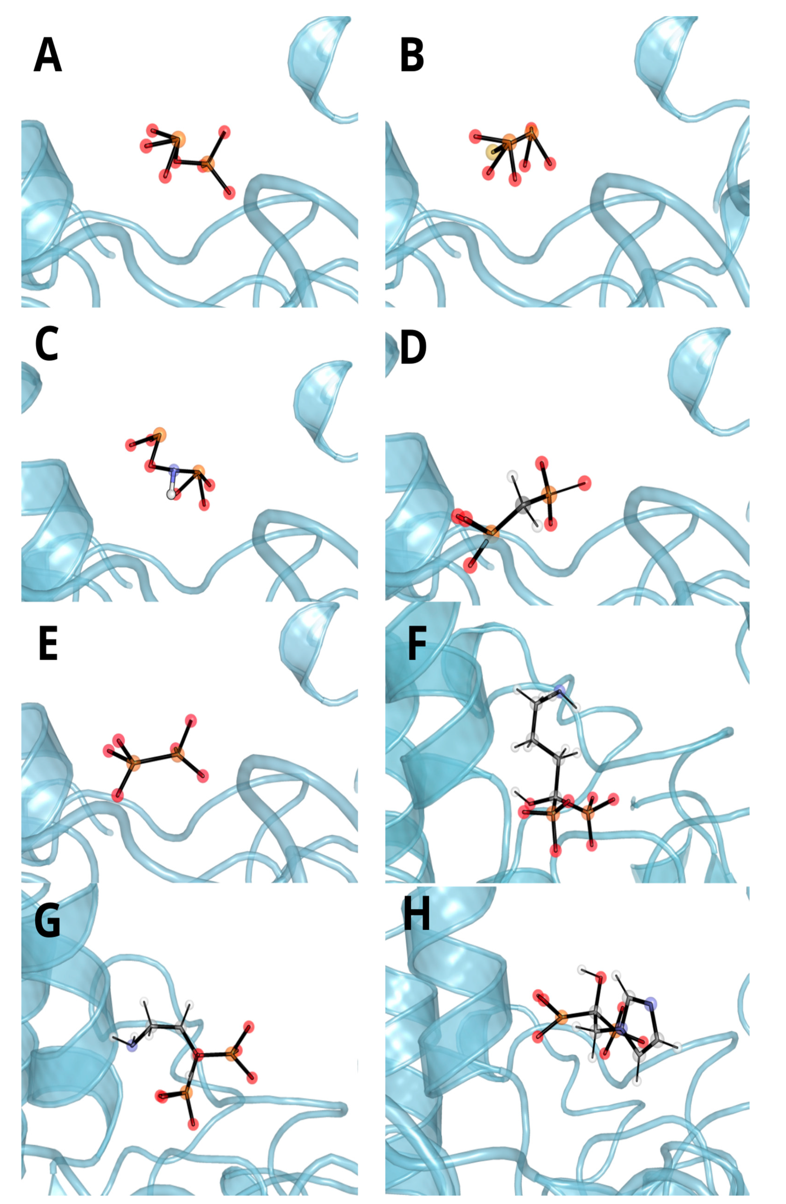 Biomolecules 11 01104 g007