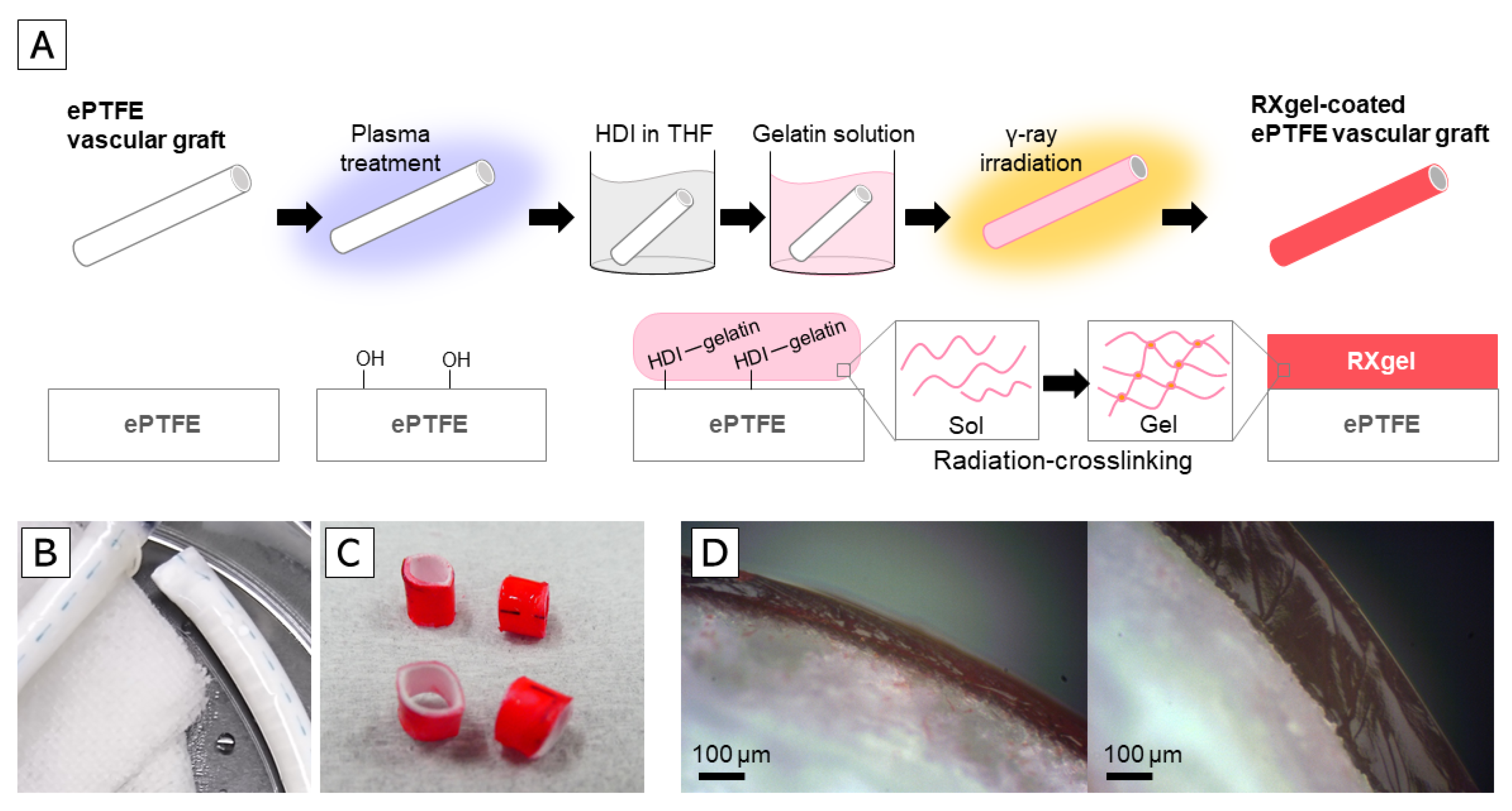 Biomolecules 11 01105 g002