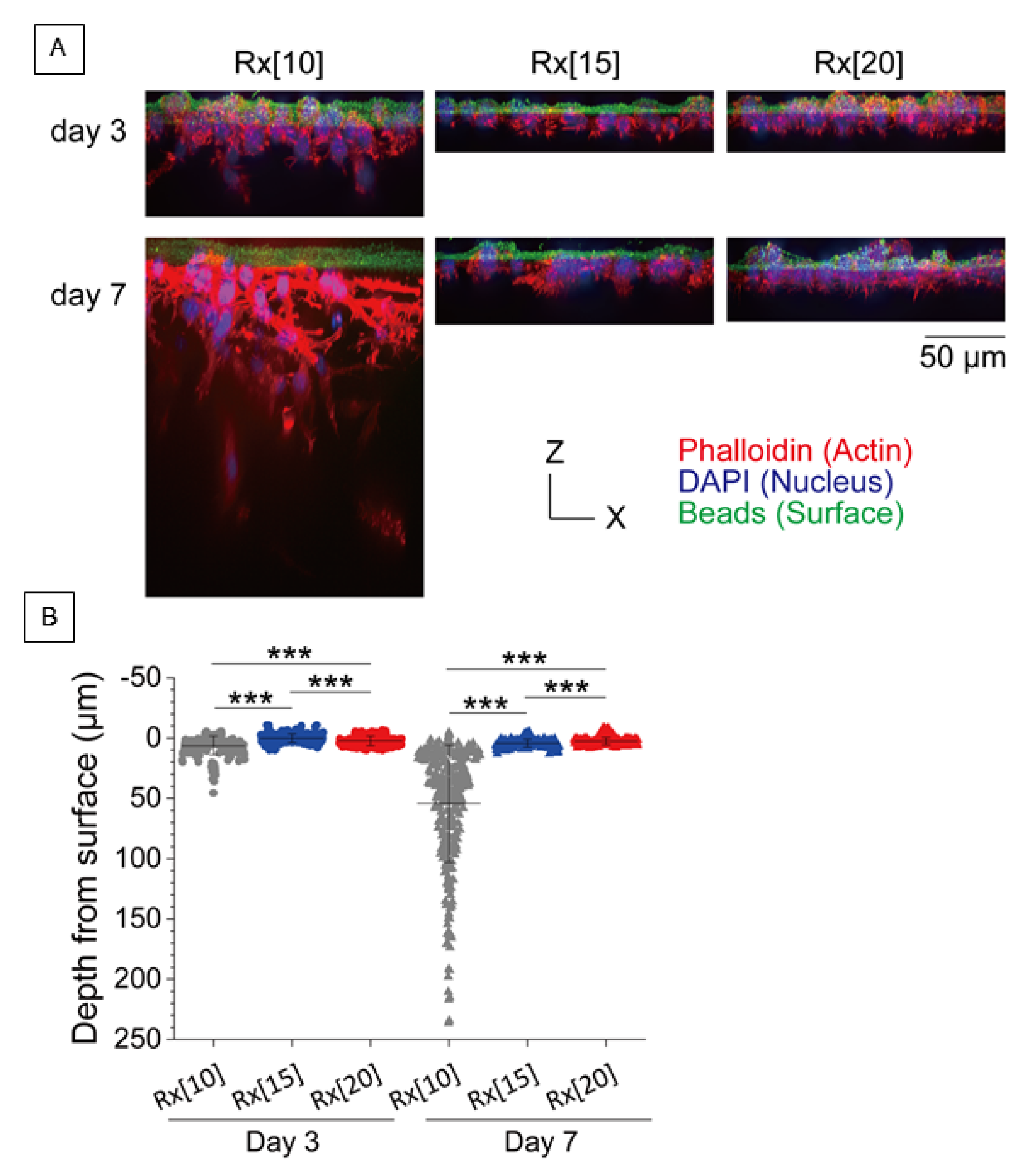 Biomolecules 11 01105 g003