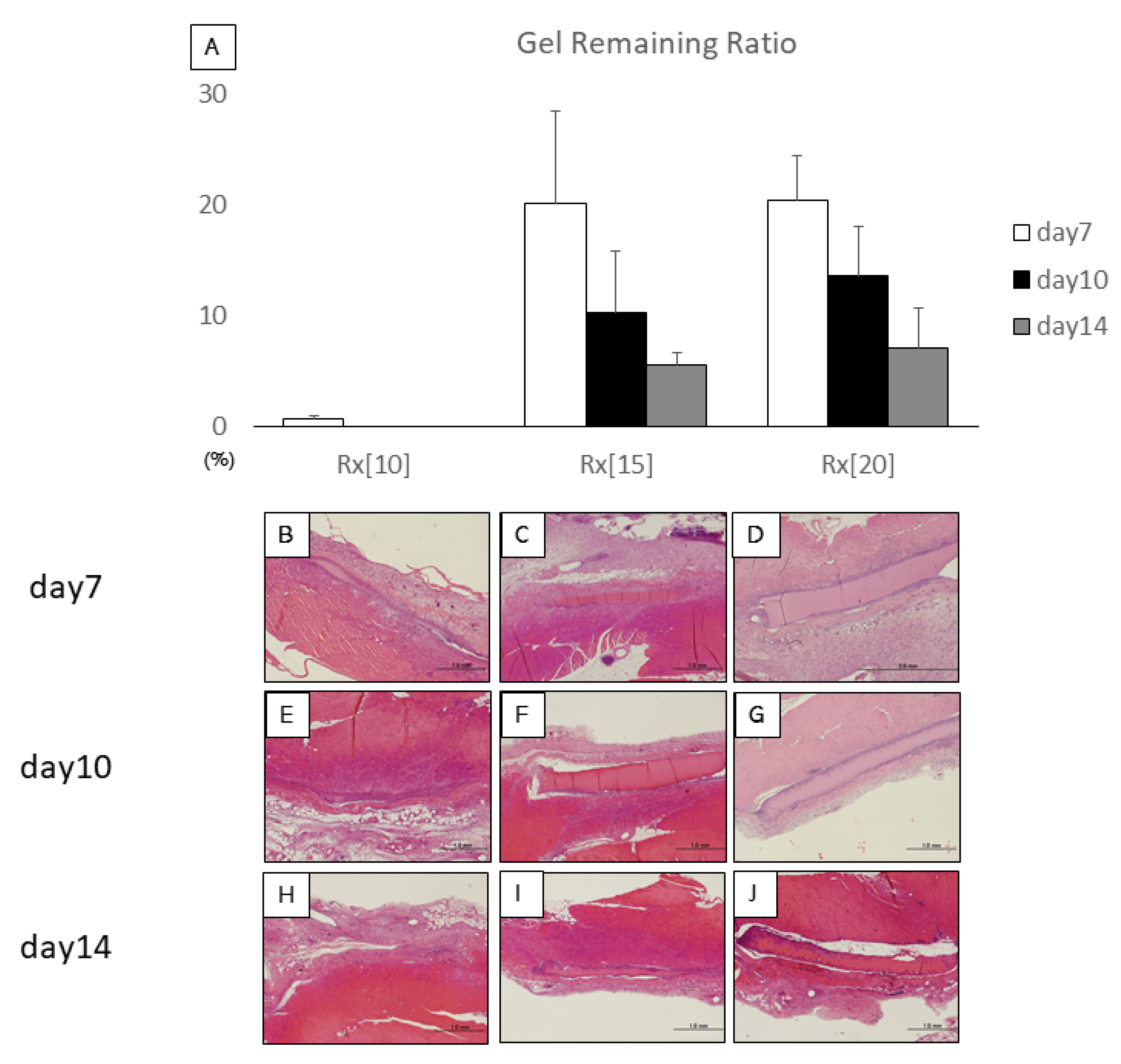 Biomolecules 11 01105 g004