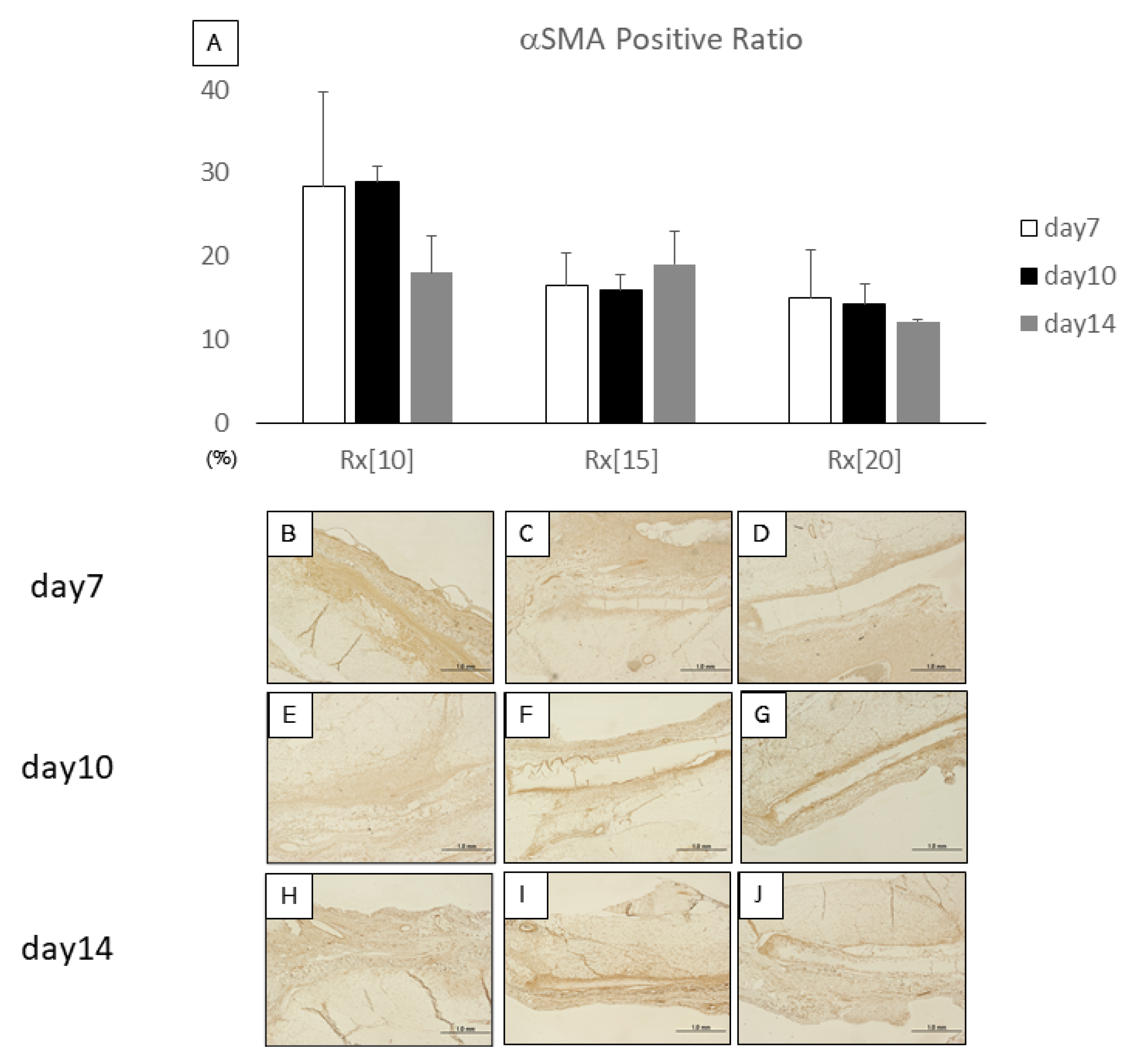 Biomolecules 11 01105 g005