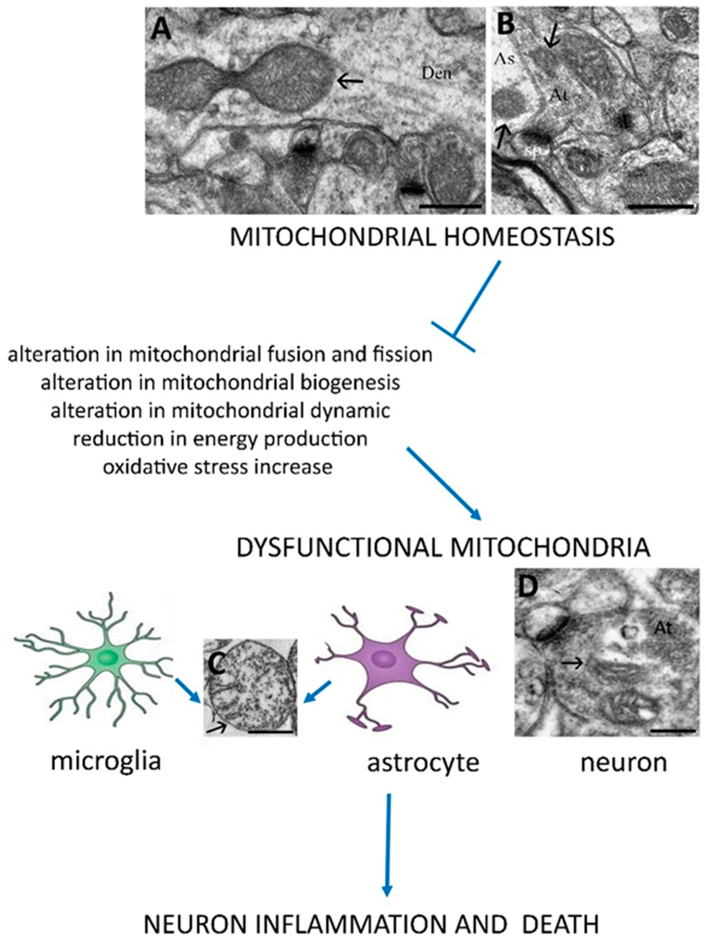Biomolecules 11 01109 g002 Biomolecules 11 01109 g002