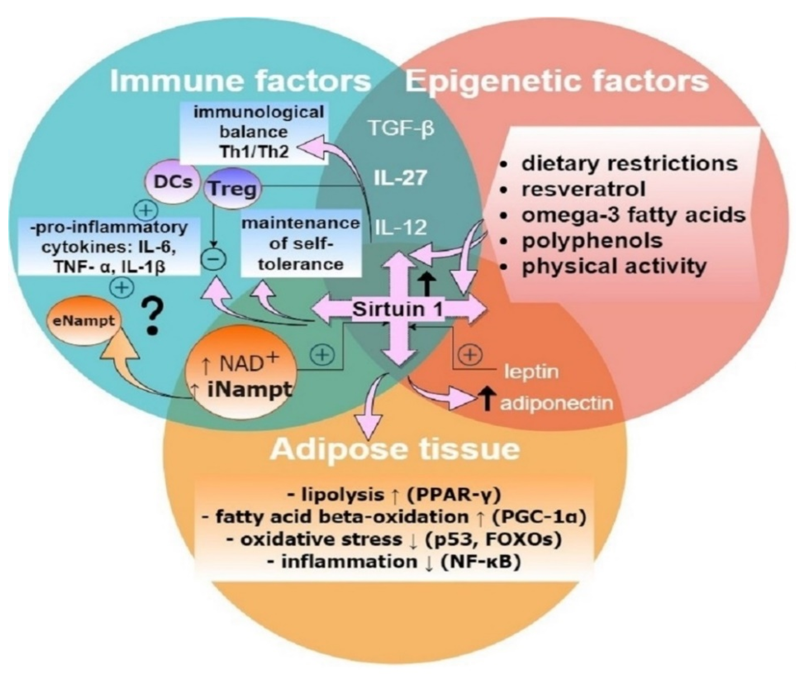 Biomolecules 11 01110 g001 550