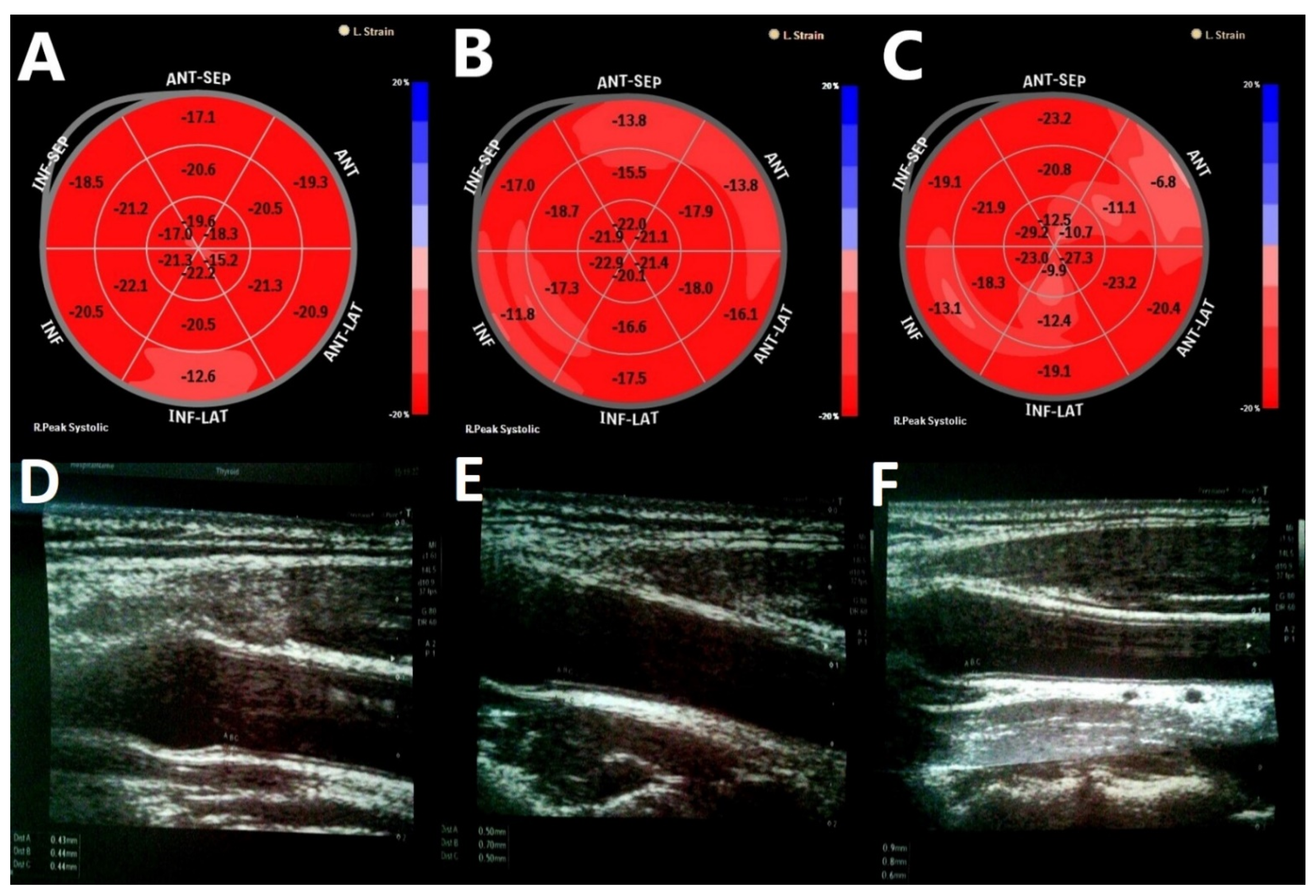 Biomolecules 11 01110 g002 550