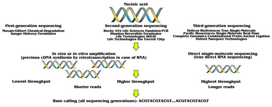 Biomolecules | Free Full-Text | Analyzing Modern Biomolecules: The.