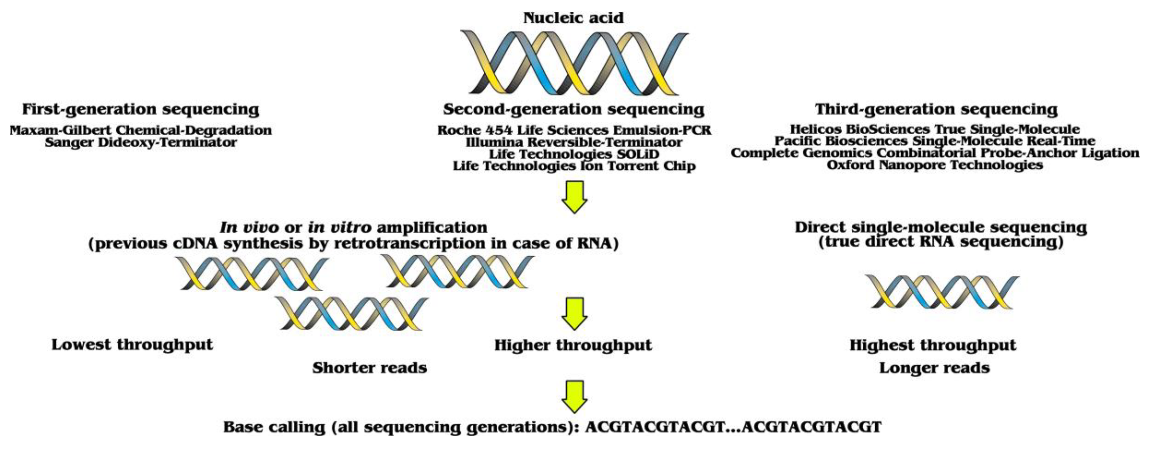 Analyzing Modern Biomolecules: The Revolution of Nucleic Analyzing Modern Biomolecules: The Revolution of Nucleic