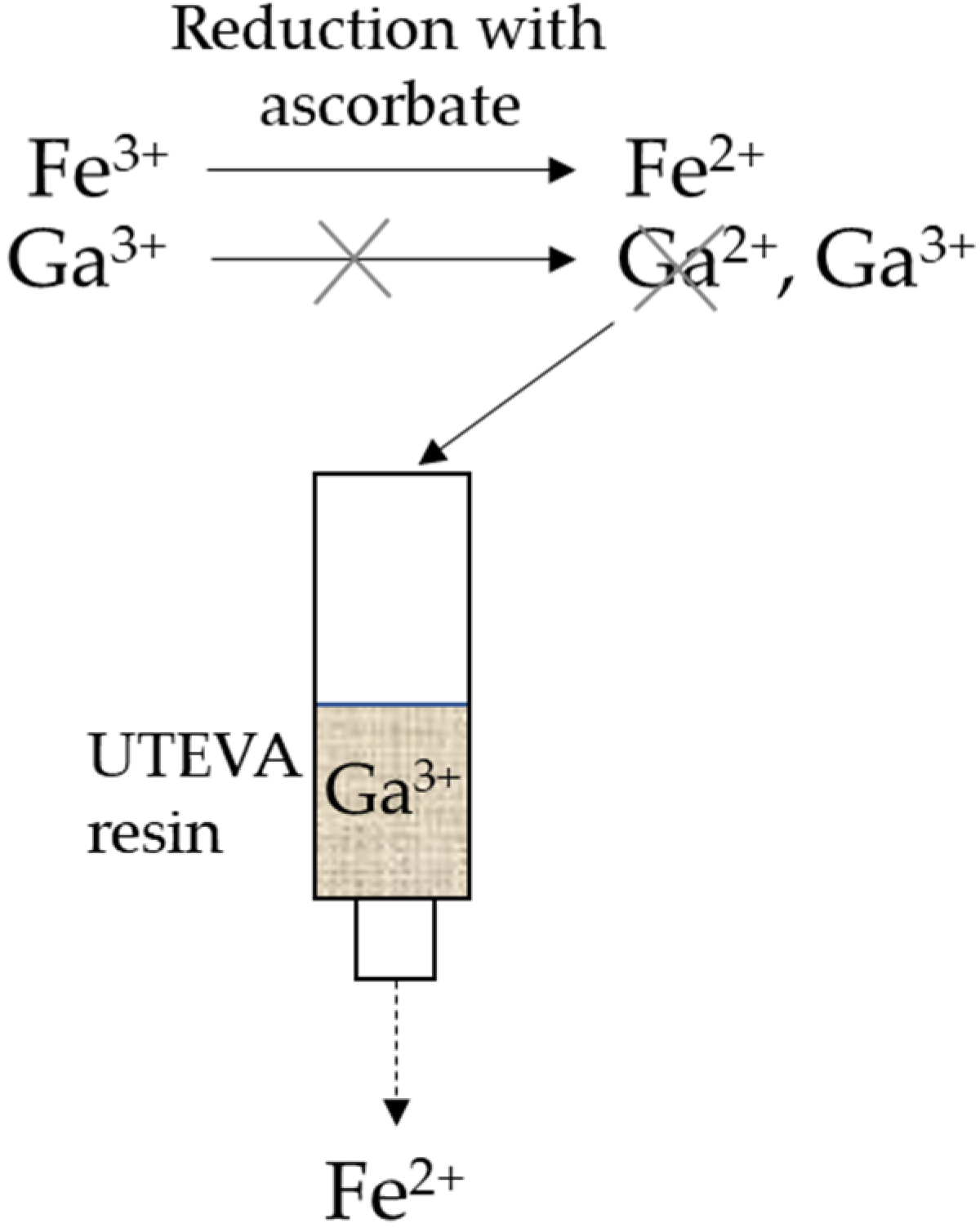 Biomolecules 11 01118 g001