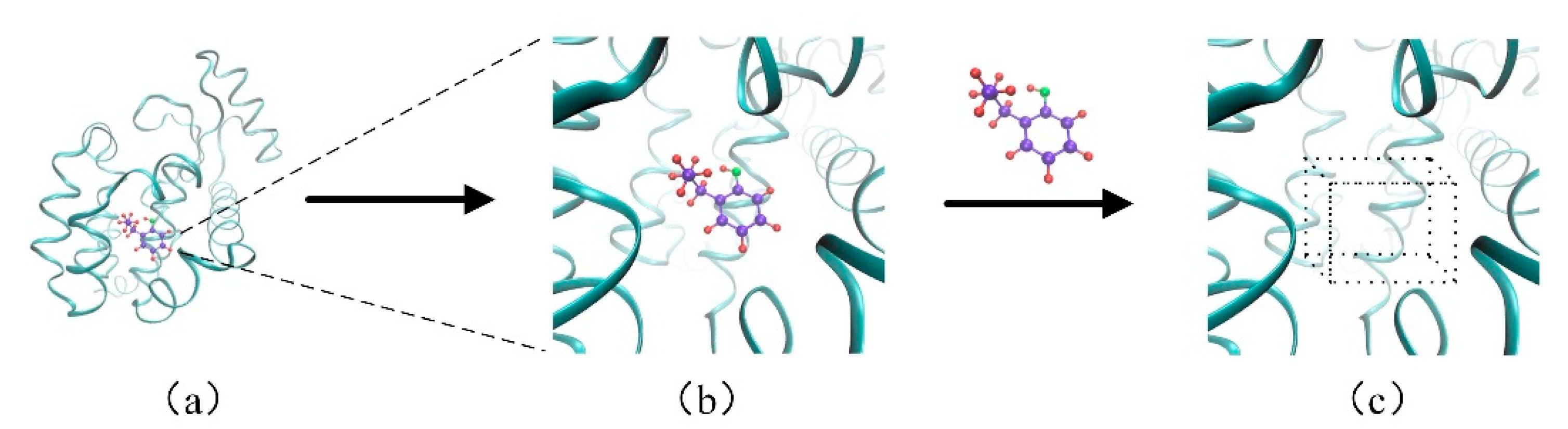 Biomolecules 11 01119 g002 550