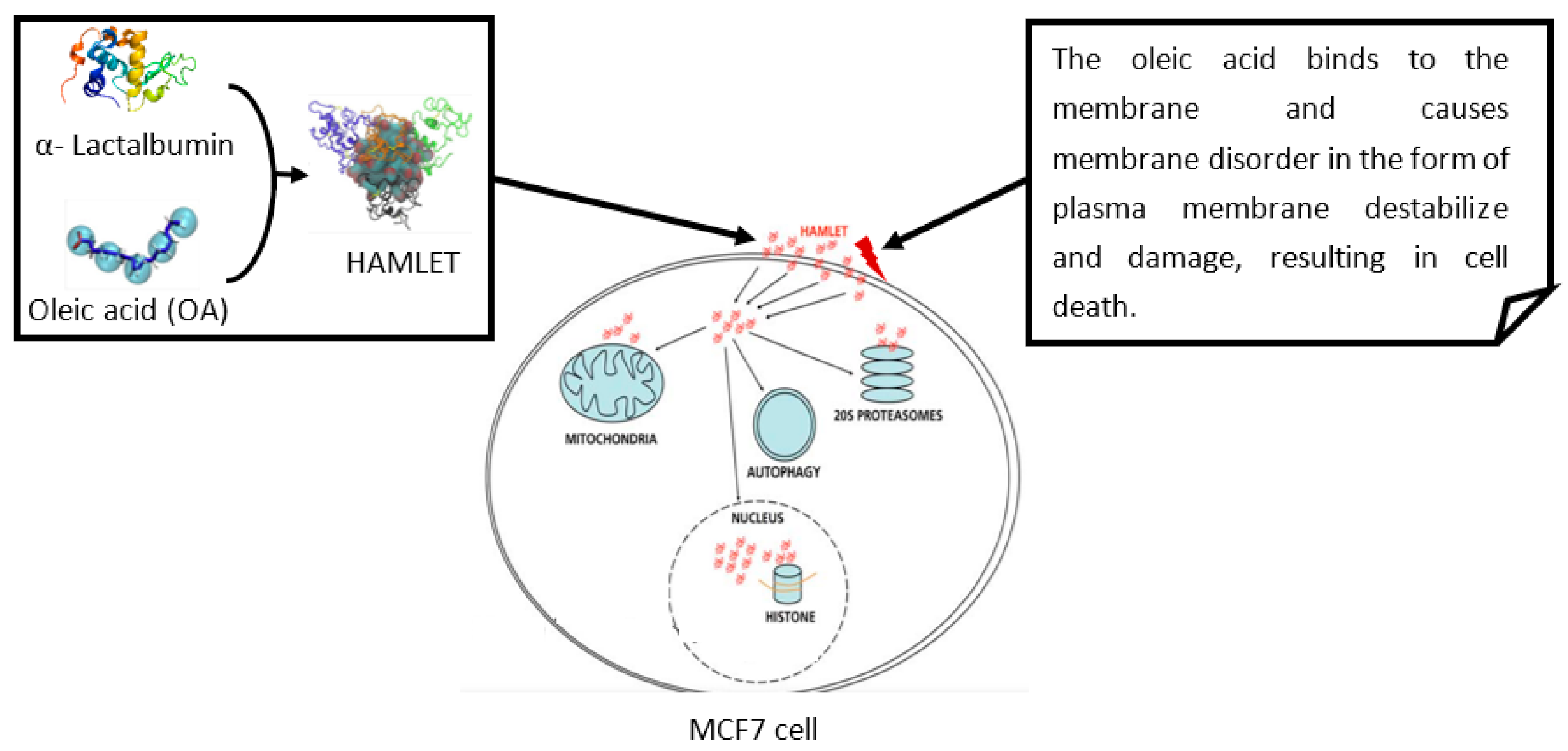 Biomolecules 11 01120 g001