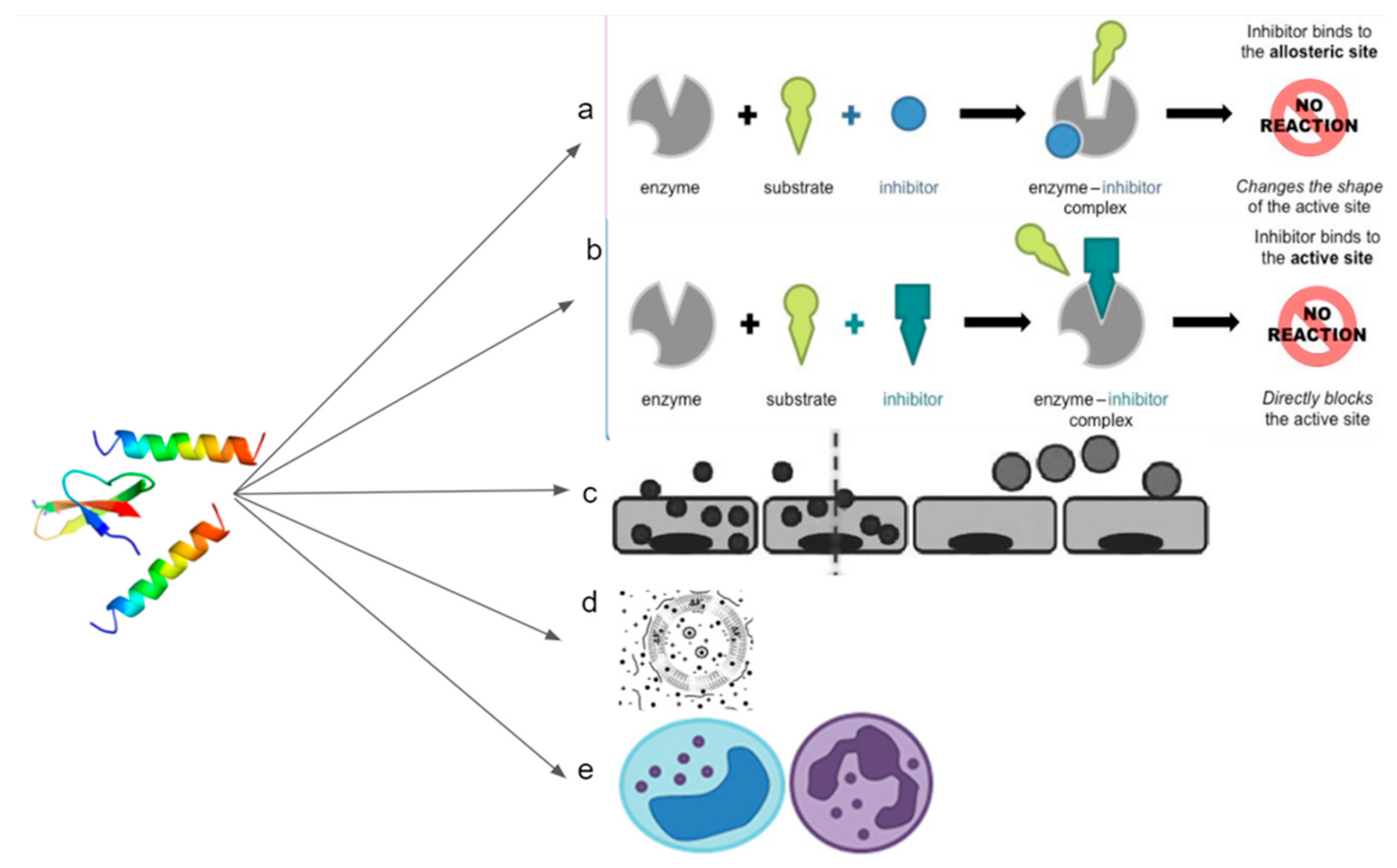 Biomolecules 11 01120 g005
