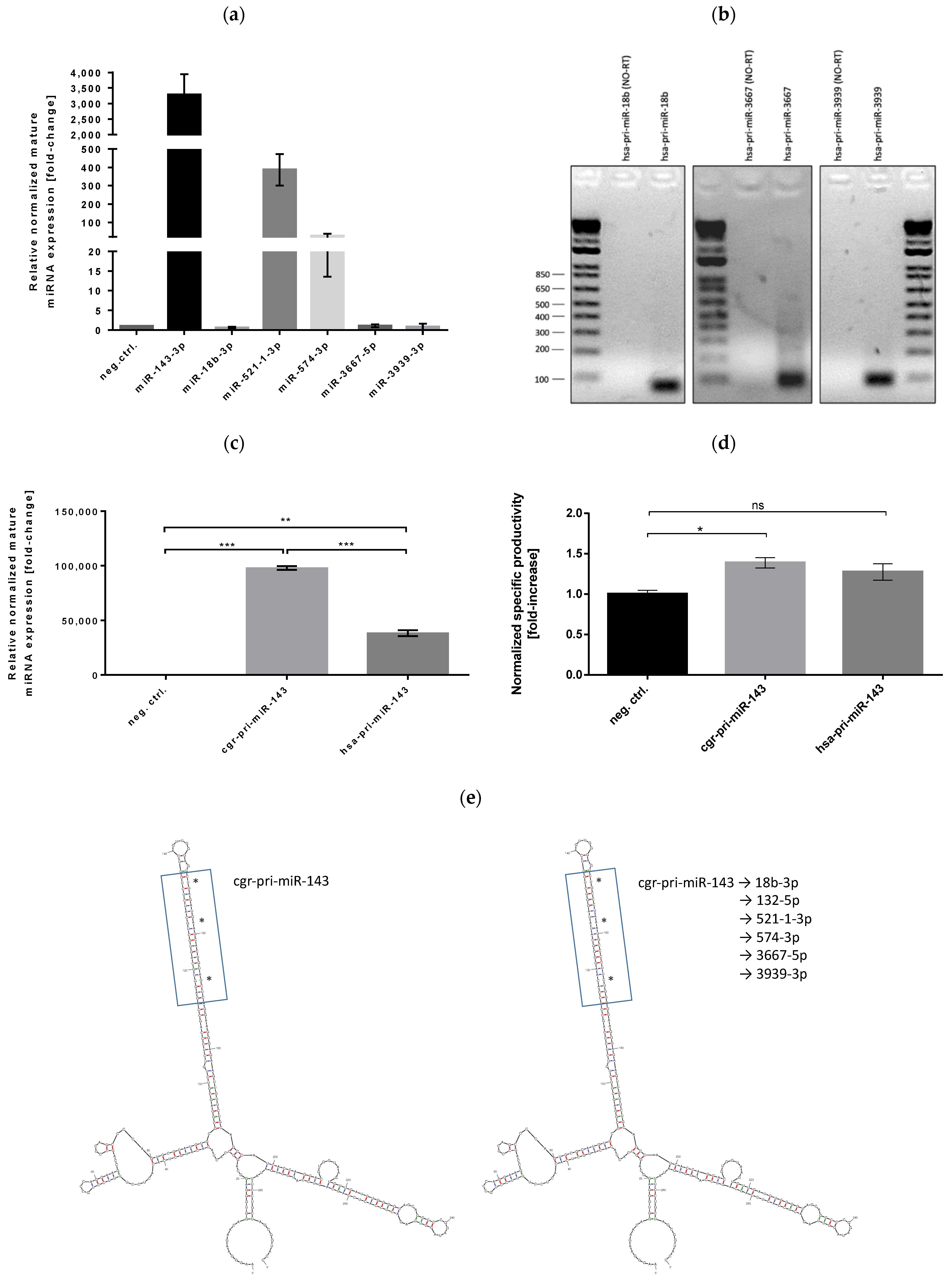 Biomolecules 11 01125 g002