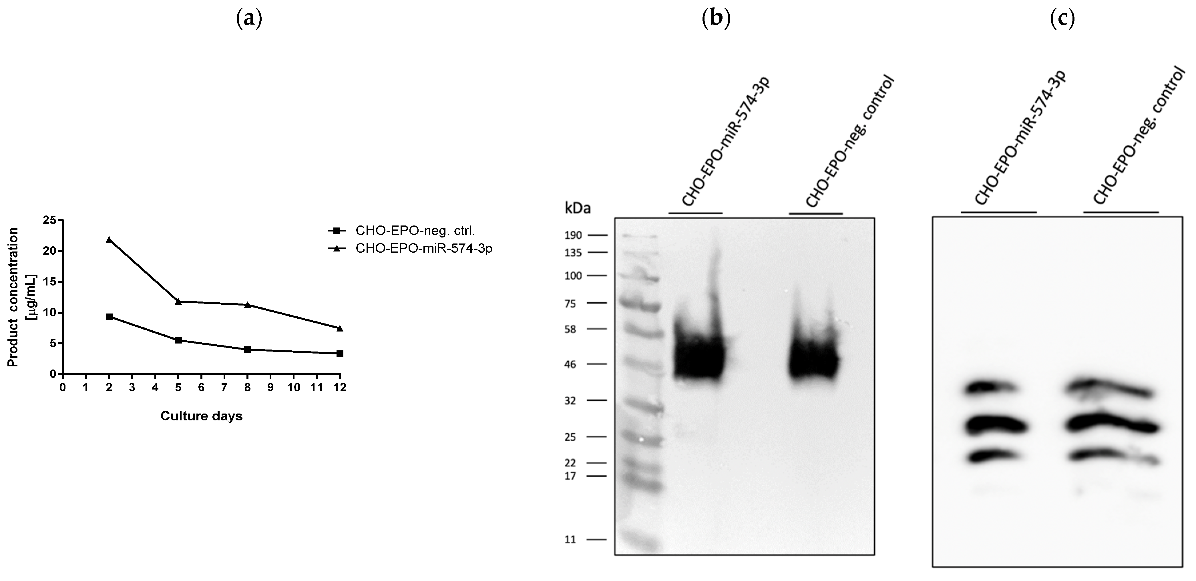 Biomolecules 11 01125 g006