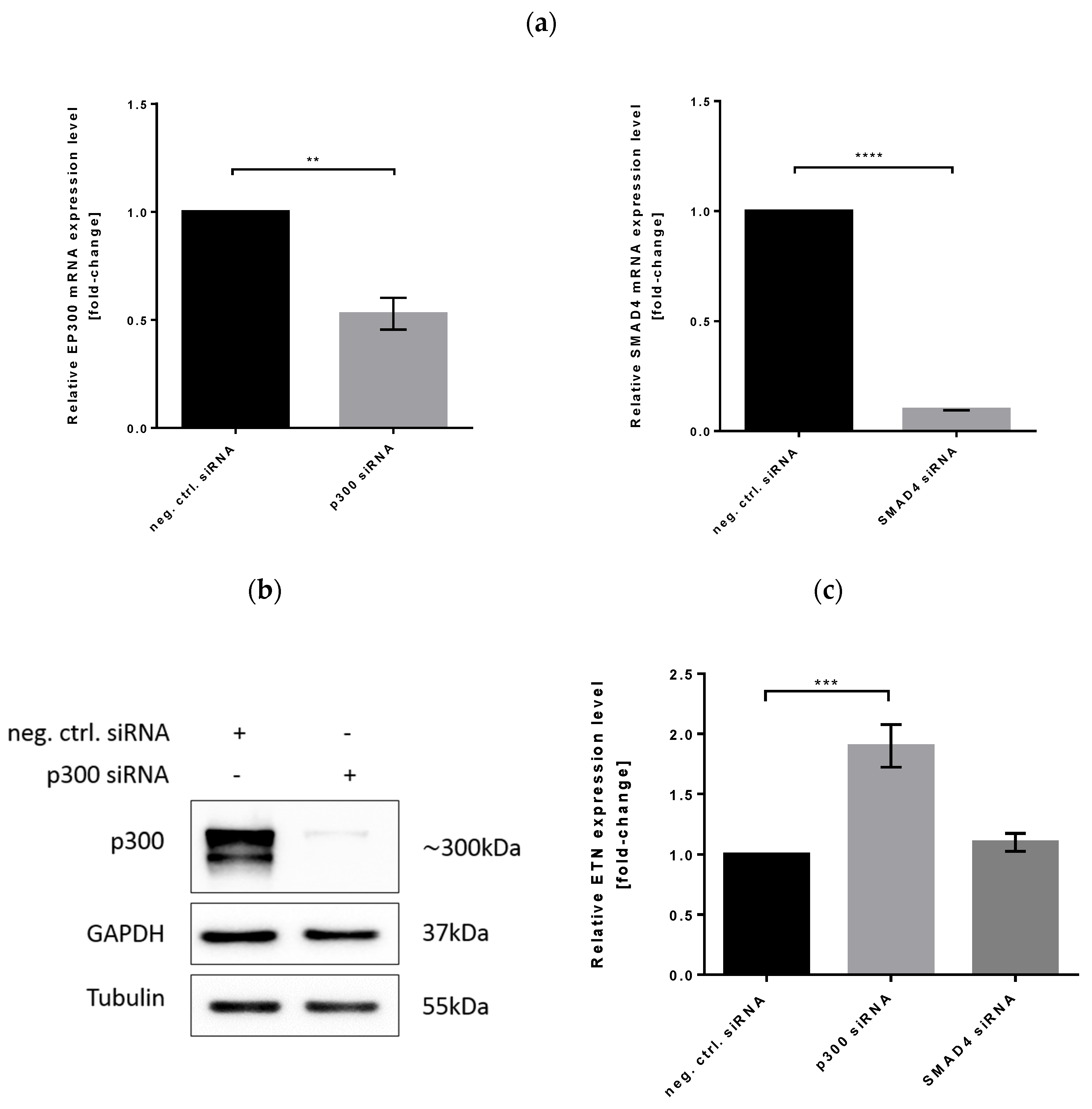 Biomolecules 11 01125 g009