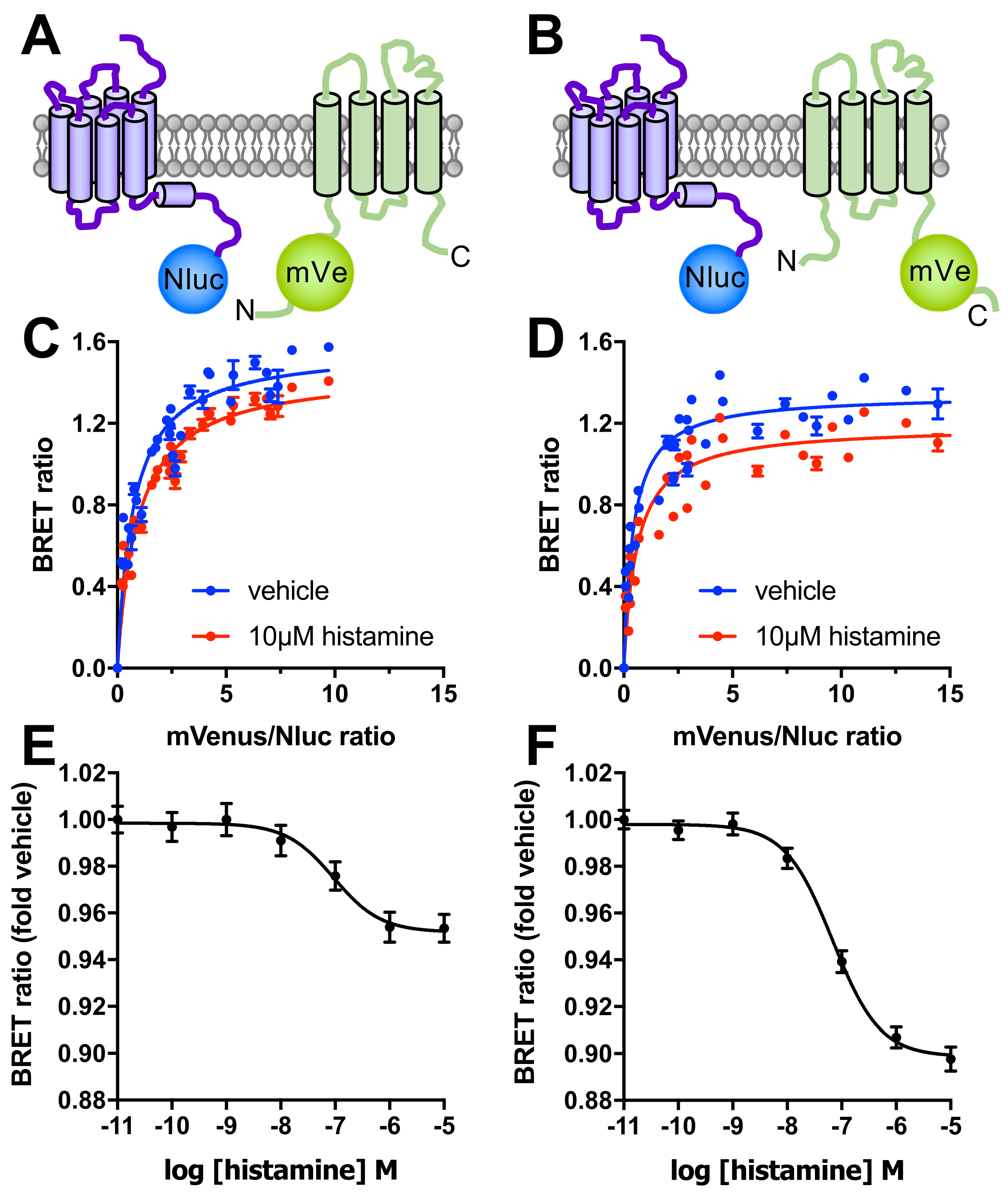 Biomolecules 11 01127 g003 Biomolecules 11 01127 g003