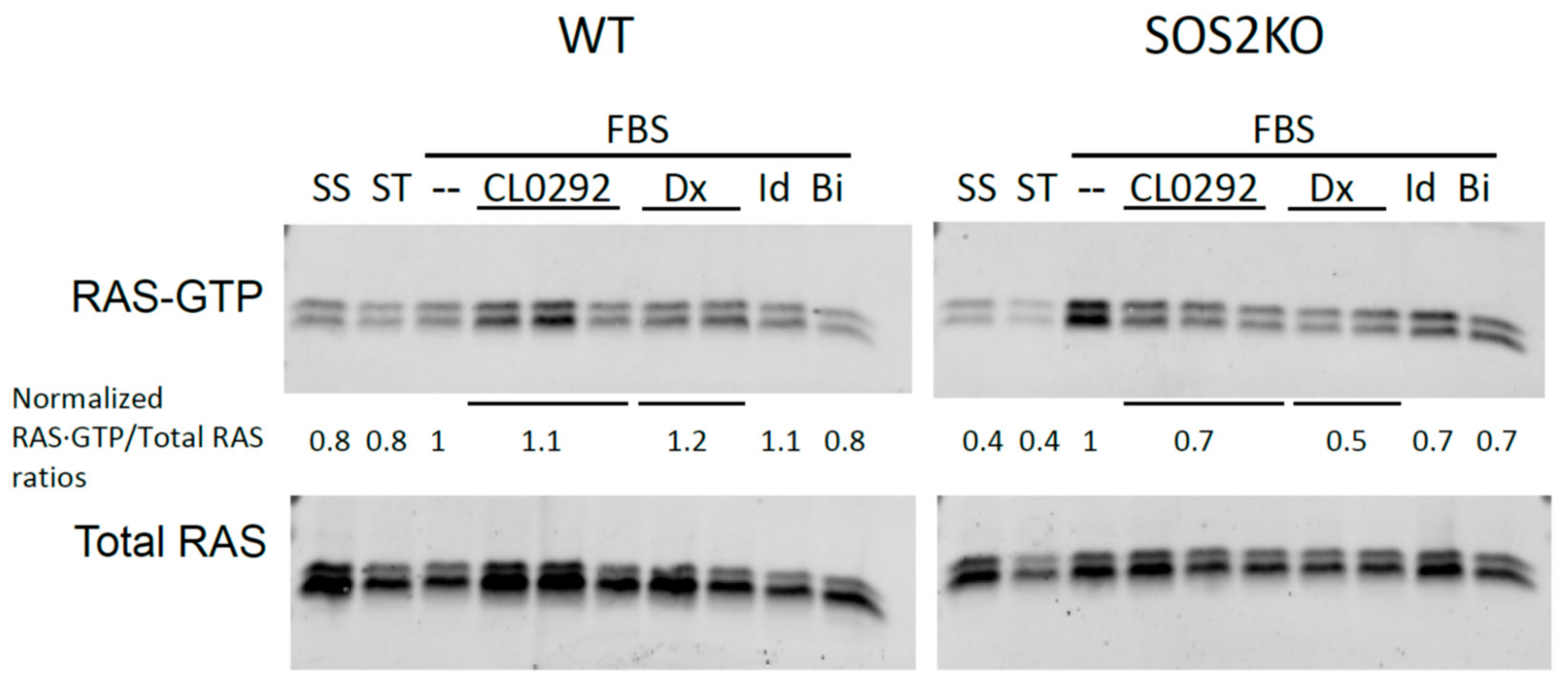 Biomolecules 11 01128 g002