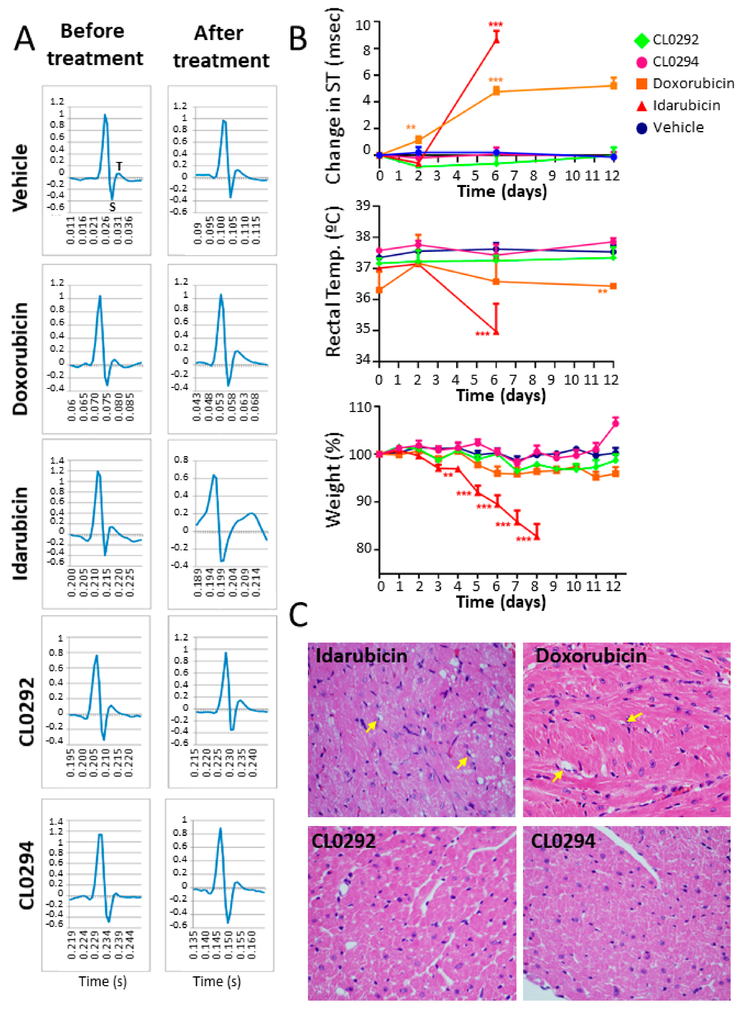 Biomolecules 11 01128 g004