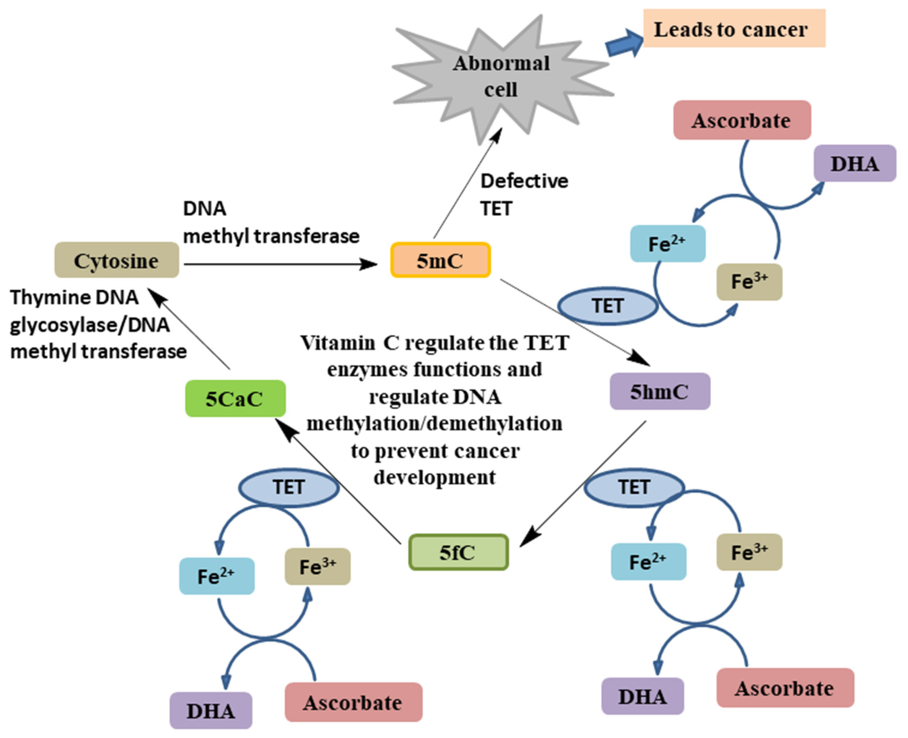 Biomolecules 11 01130 g008