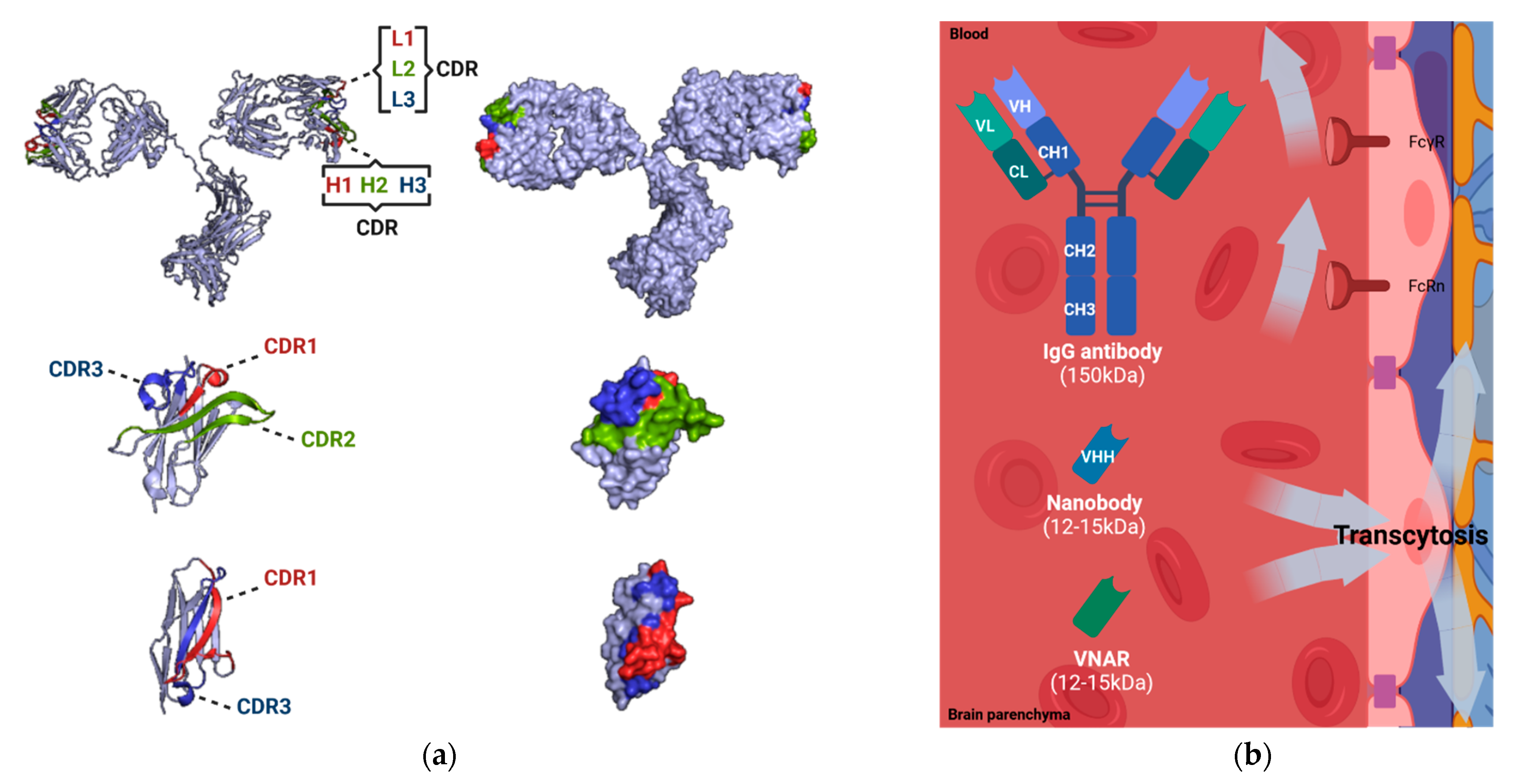 Biomolecules 11 01131 g002
