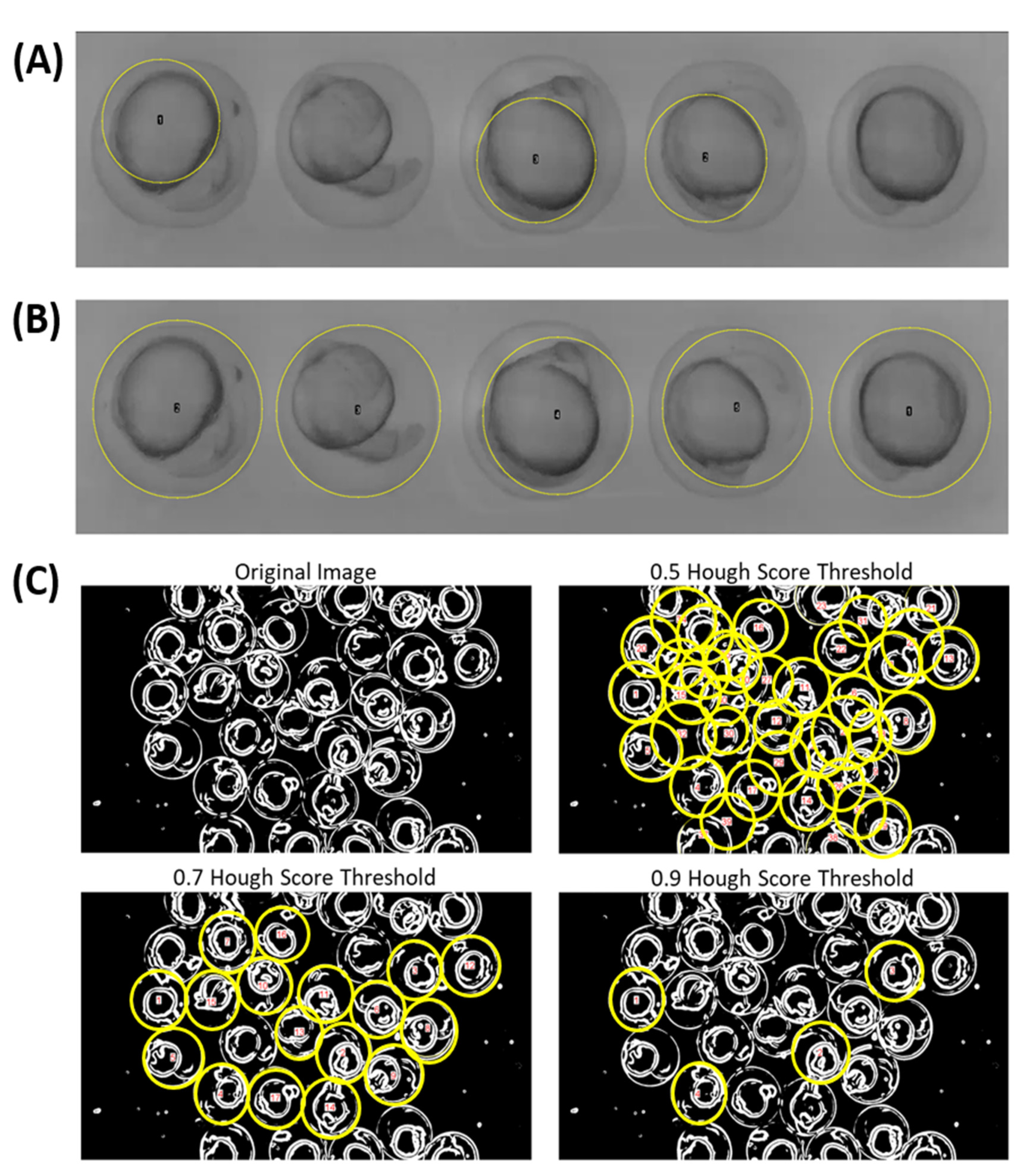 Biomolecules 11 01133 g002 550