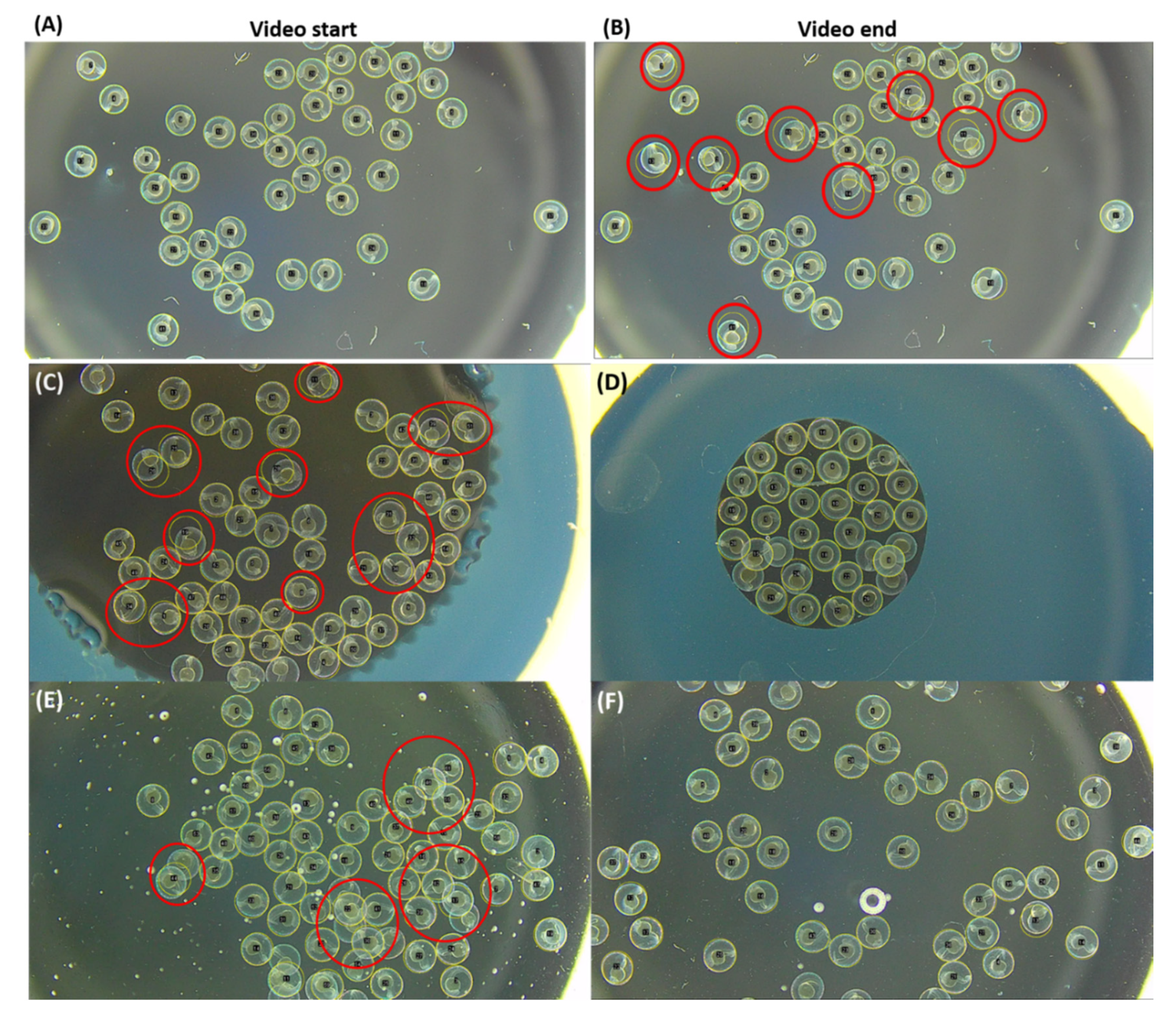 Biomolecules 11 01133 g003 550