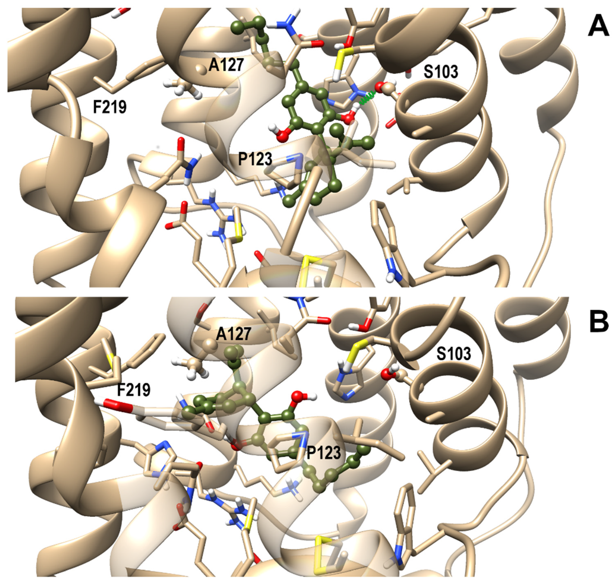 Biomolecules 11 01134 g007