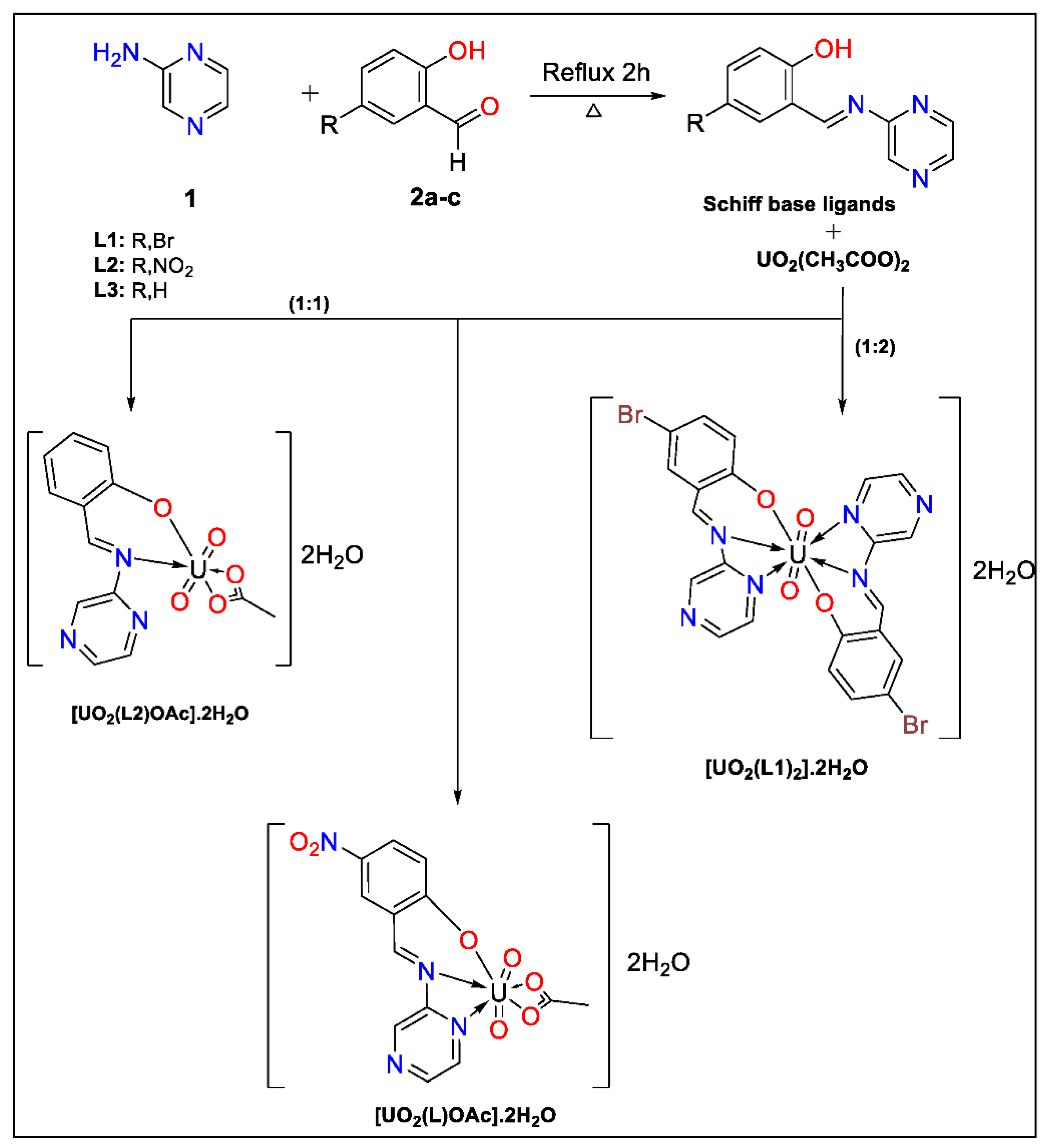 Biomolecules 11 01138 sch001 550