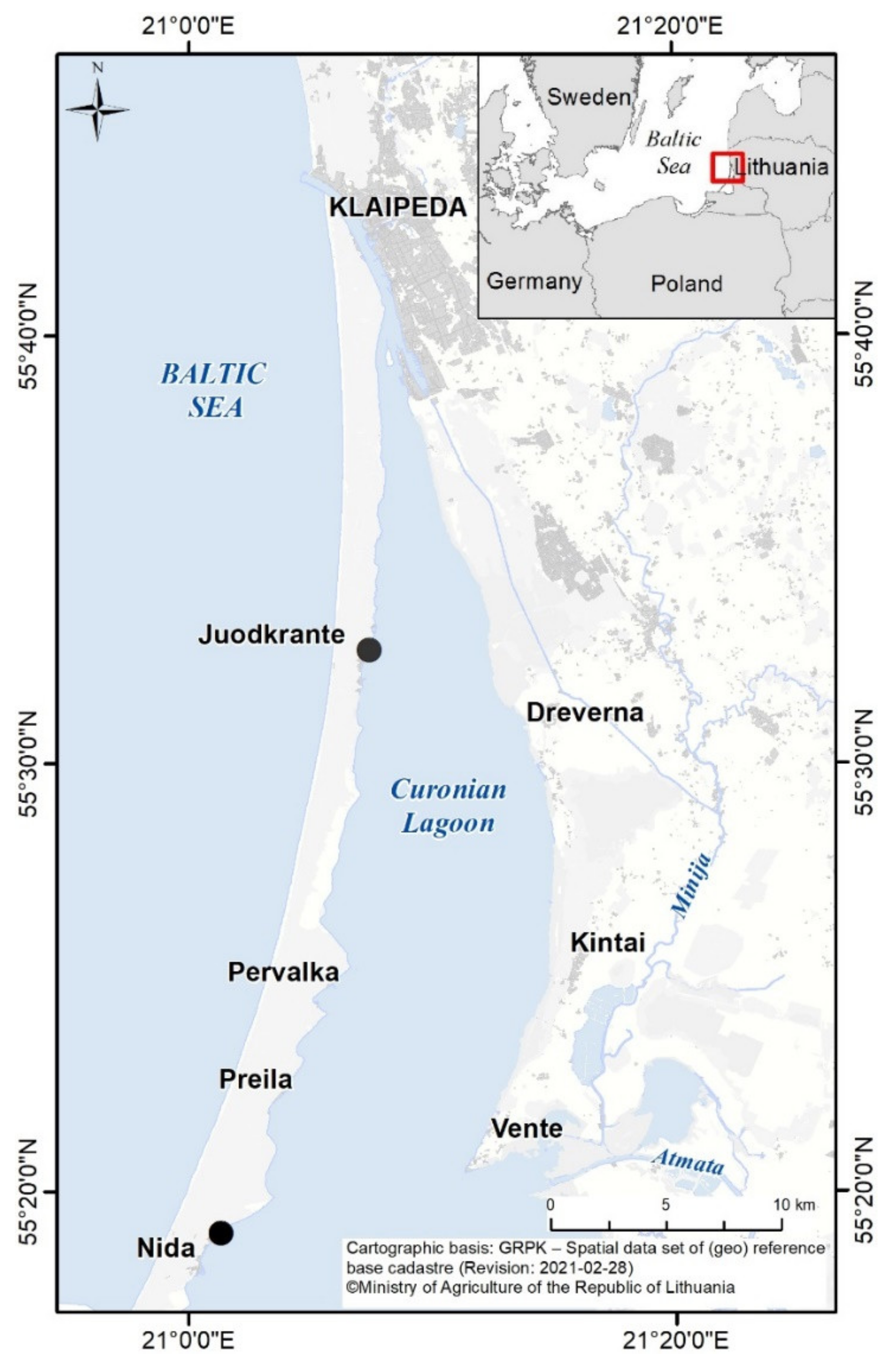 Biomolecules 11 01139 g001
