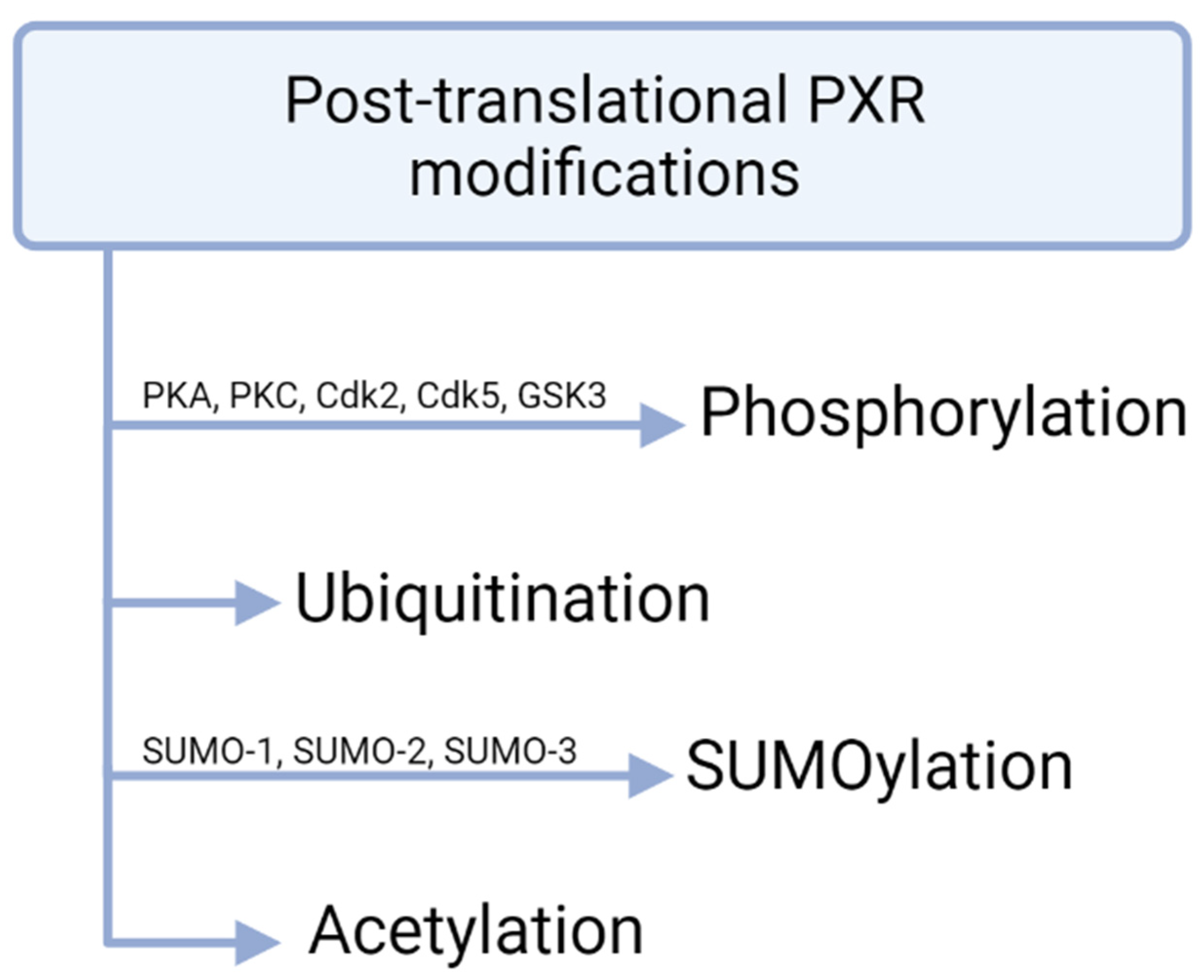 Biomolecules 11 01142 g003 Biomolecules 11 01142 g003