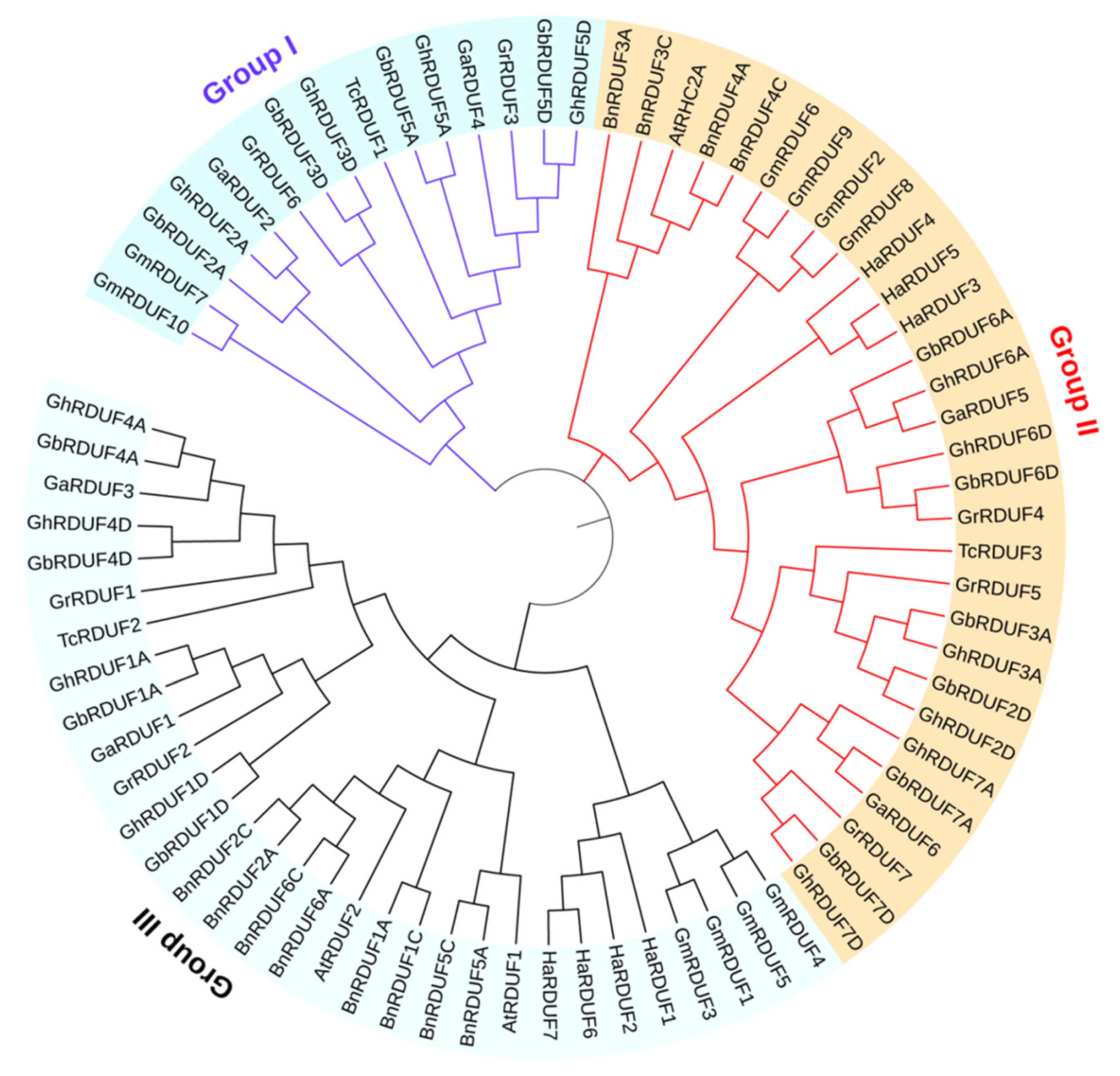Biomolecules 11 01145 g001