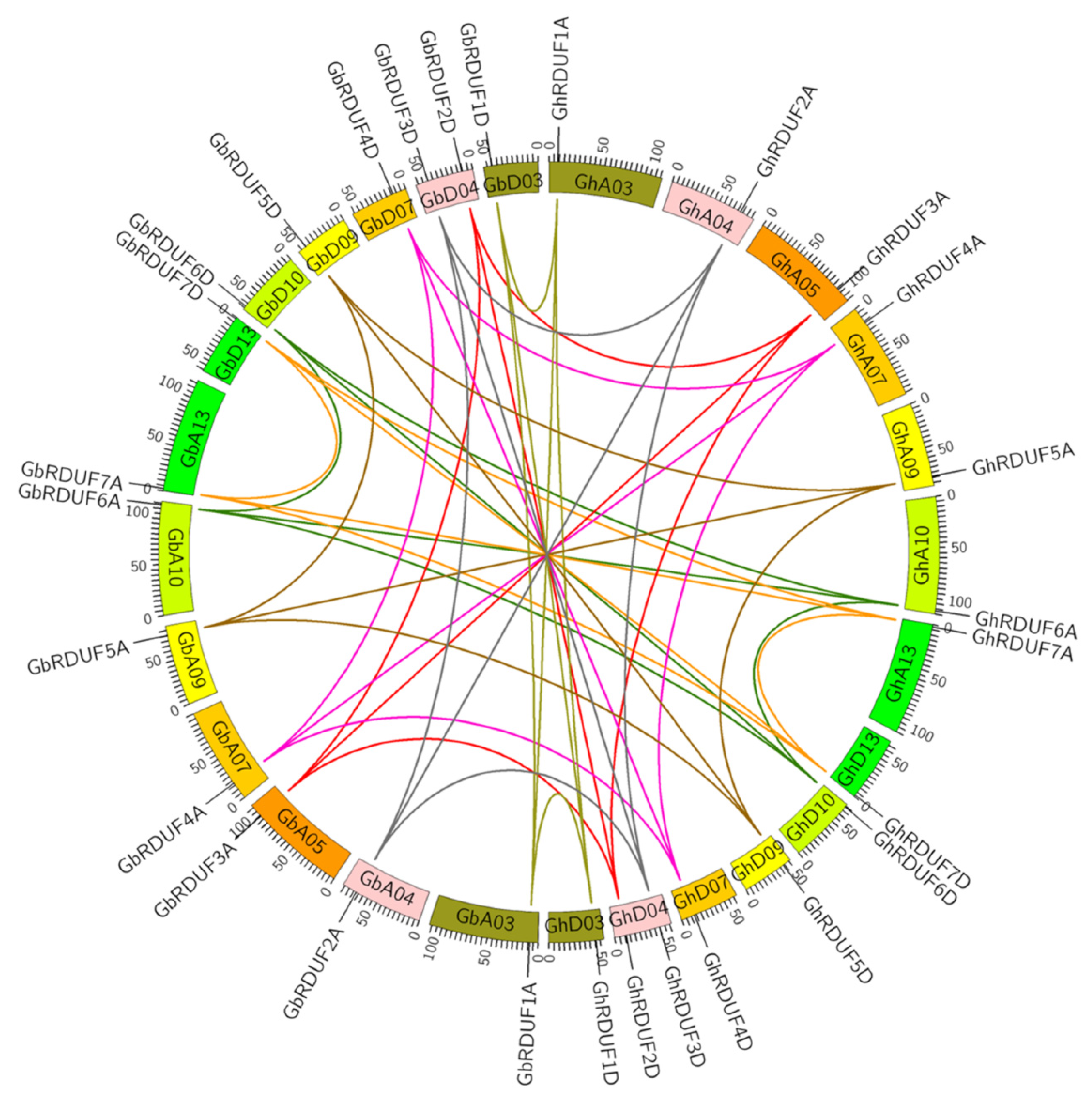 Biomolecules 11 01145 g002